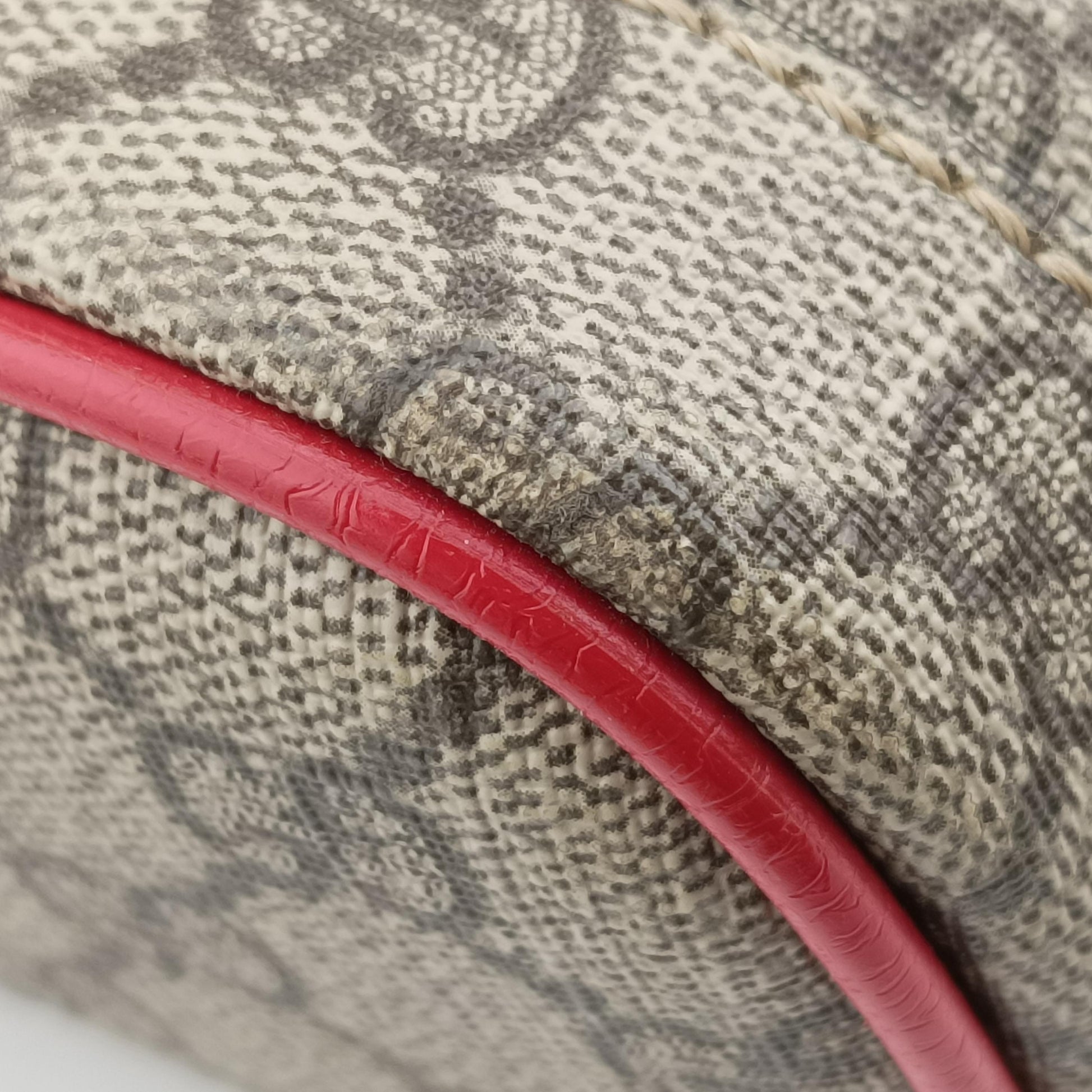 GG Supreme Bosco dog print Multicolour PVC coated canvas 495621 H023828569GGスプリームボスコ 犬プリント マルチカラー PVCコーティングキャンバス 495621 H023828569