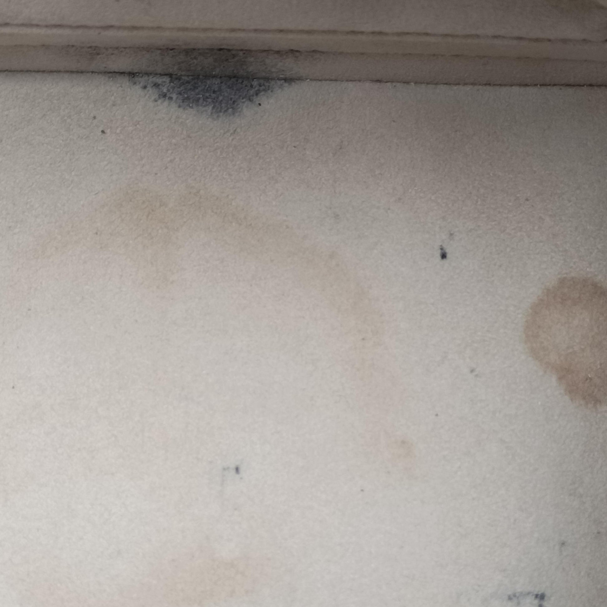 Alma PM IVOIRE Epi M4030J FL0123アルマPM イヴォワール エピ M4030J FL0123