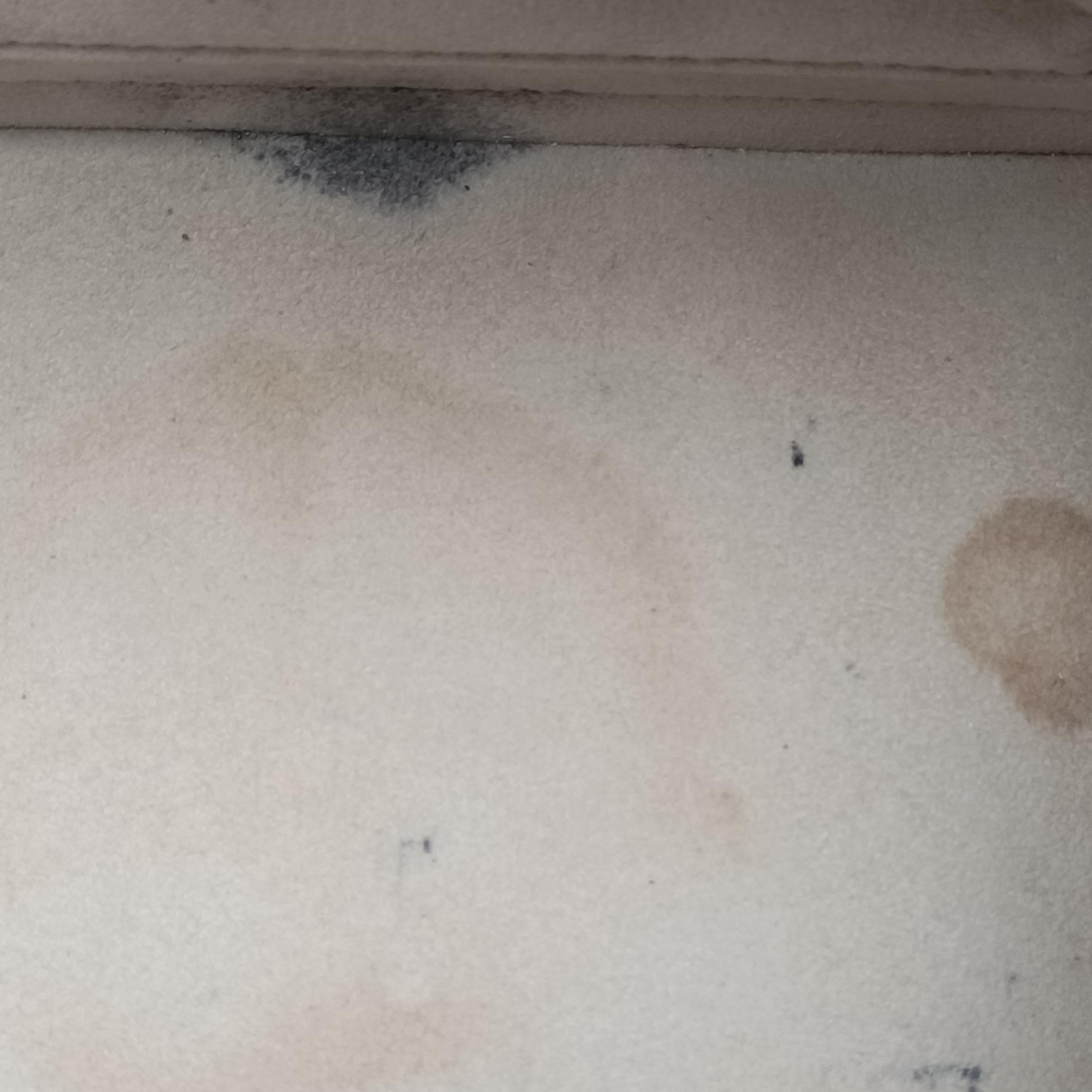 Alma PM IVOIRE Epi M4030J FL0123アルマPM イヴォワール エピ M4030J FL0123