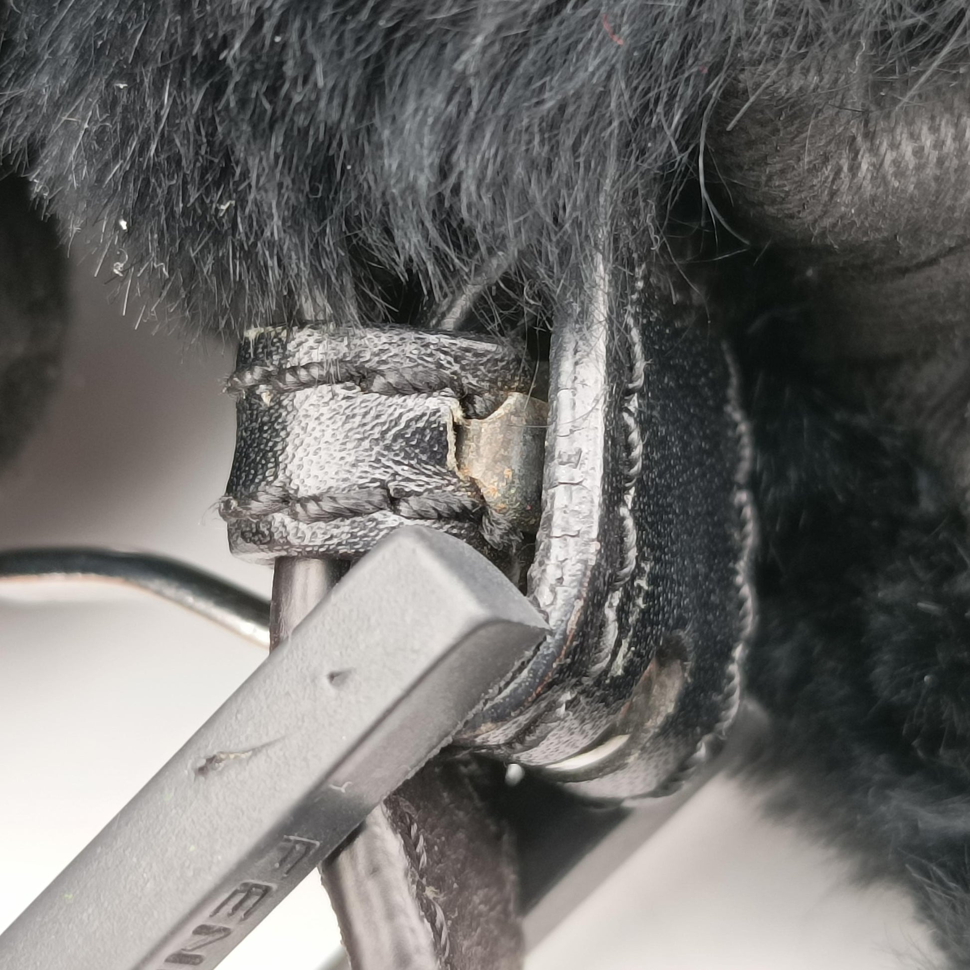 Baguette Zucchino Black ponyhair 8BR001 2241-8BR001-WCX-078マンマバケット ズッキーノ柄 ブラック ハラコ 8BR001 2241-8BR001-WCX-078