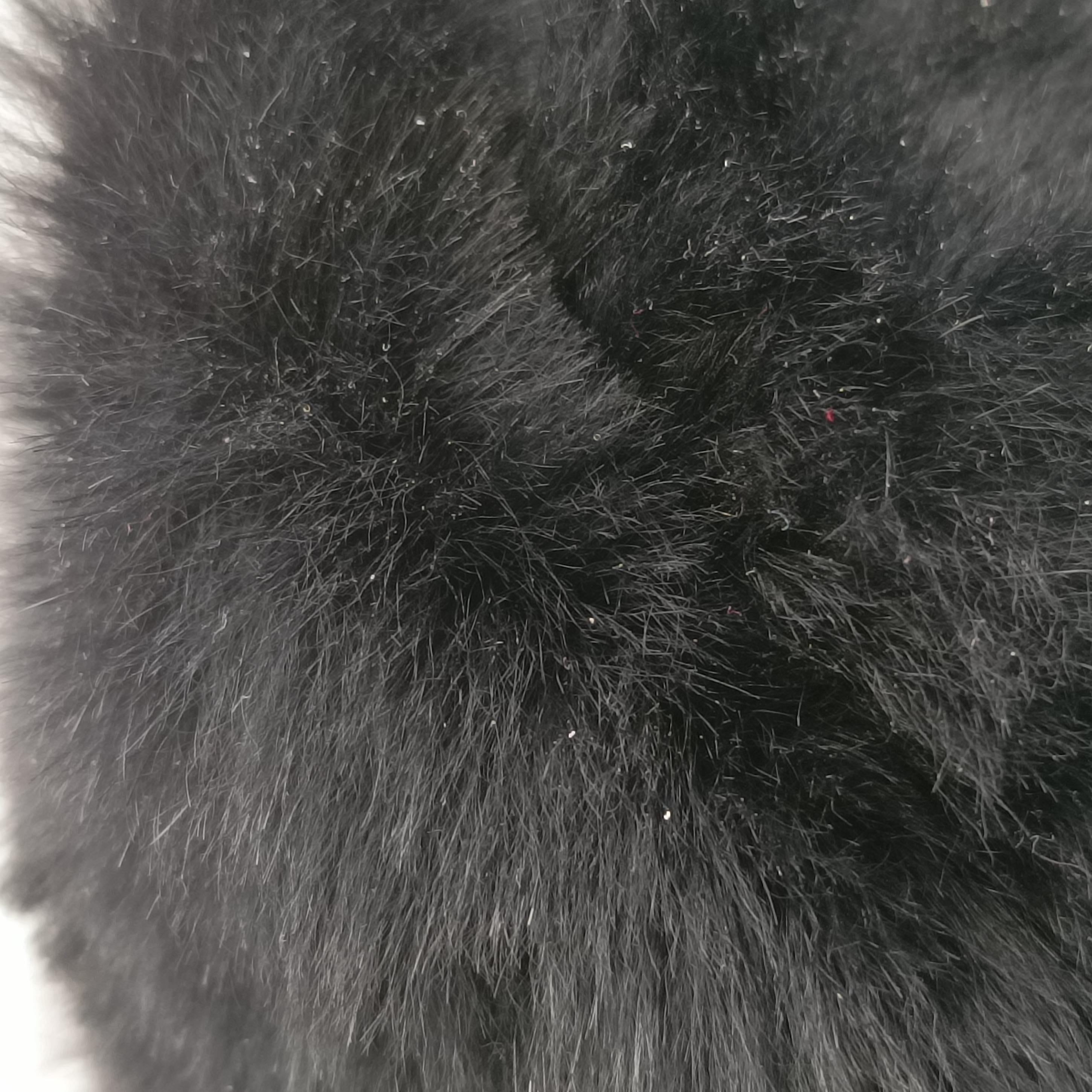 Baguette Zucchino Black ponyhair 8BR001 2241-8BR001-WCX-078マンマバケット ズッキーノ柄 ブラック ハラコ 8BR001 2241-8BR001-WCX-078