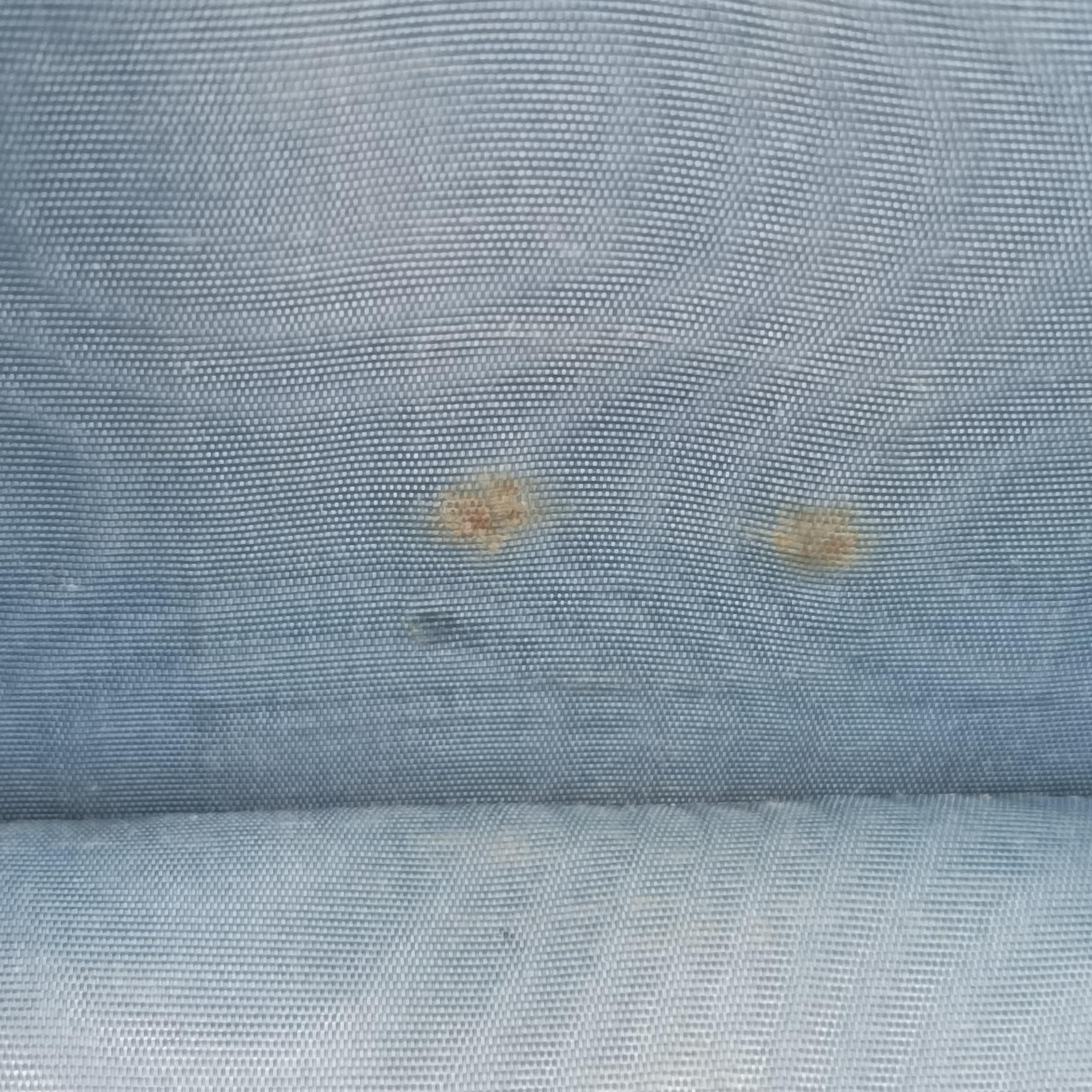 Sylvie White Leather 470270 C033519978シルヴィ ホワイト レザー 470270 C033519978