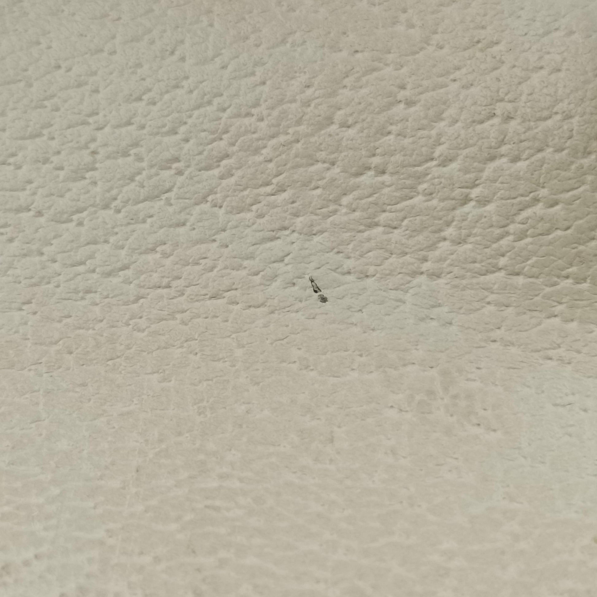 Sylvie White Leather 470270 C033519978シルヴィ ホワイト レザー 470270 C033519978