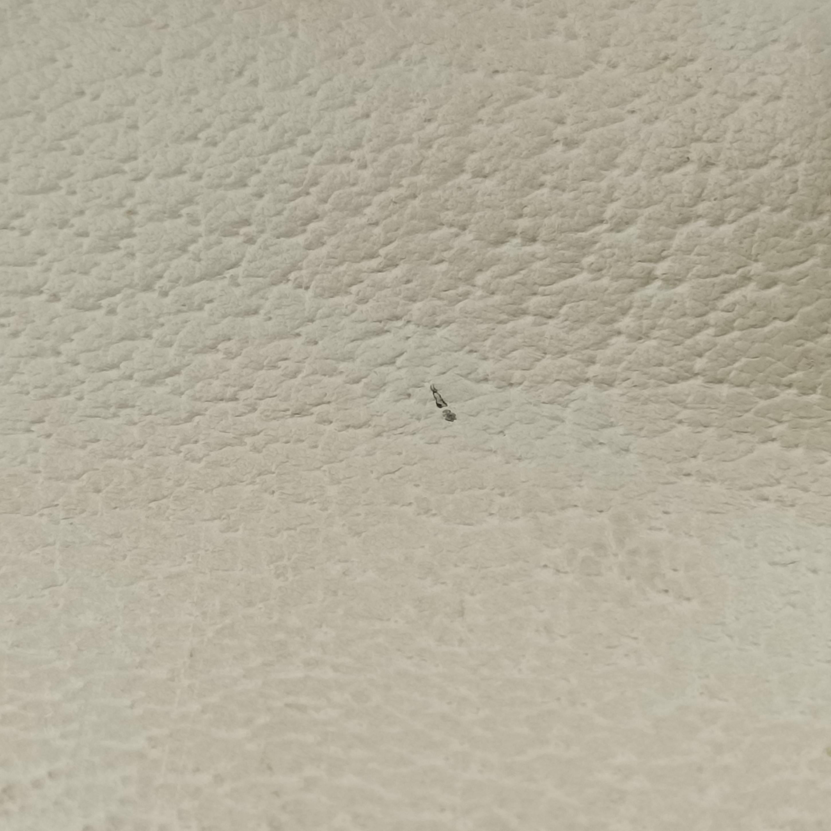 Sylvie White Leather 470270 C033519978シルヴィ ホワイト レザー 470270 C033519978