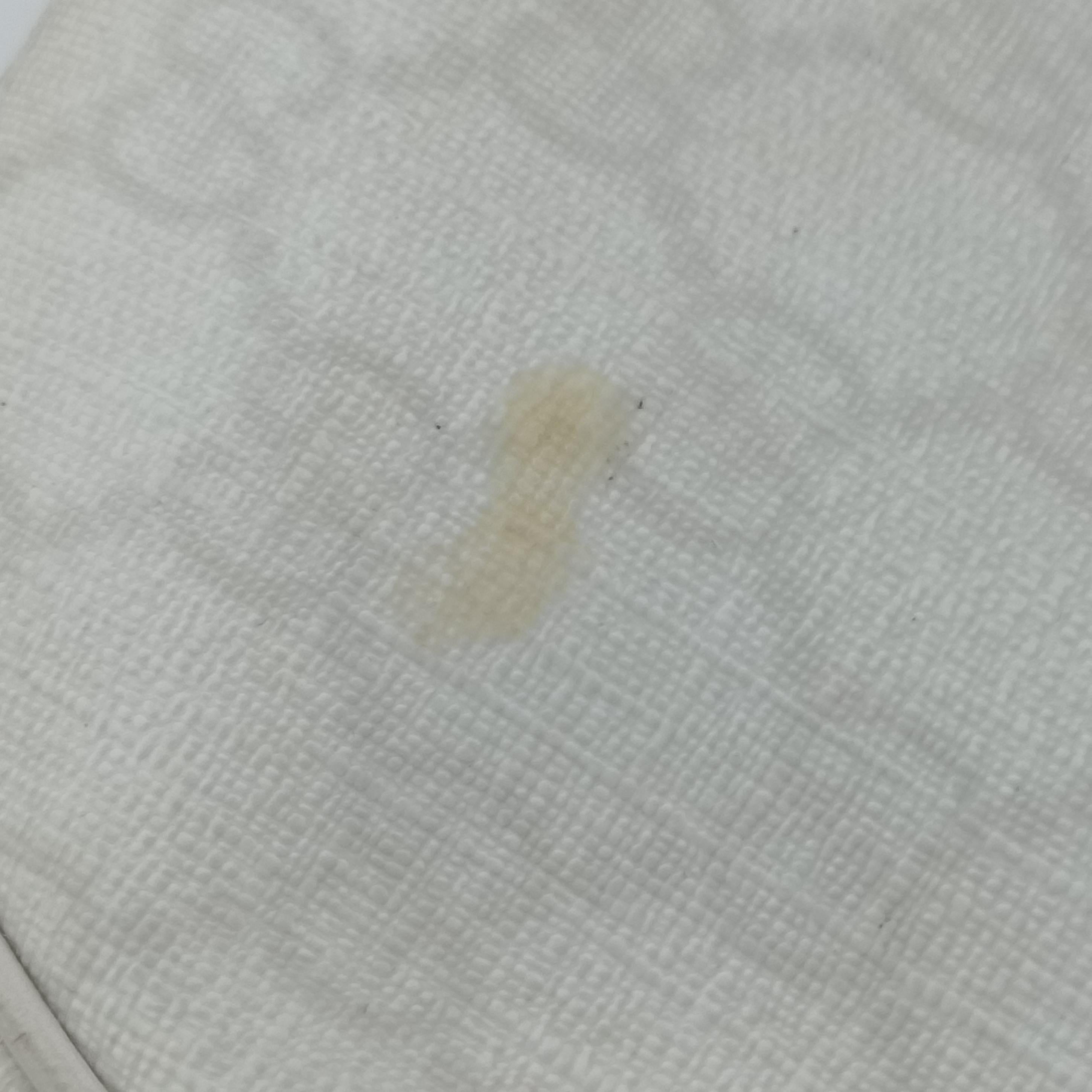 GG Supreme GG Plus Small Web Hobo White PVC coated canvas 263757 B9225801GGスプリーム GGプラス ウェブ ホーボー ホワイト PVCコーティングキャンバス 263757 B9225801