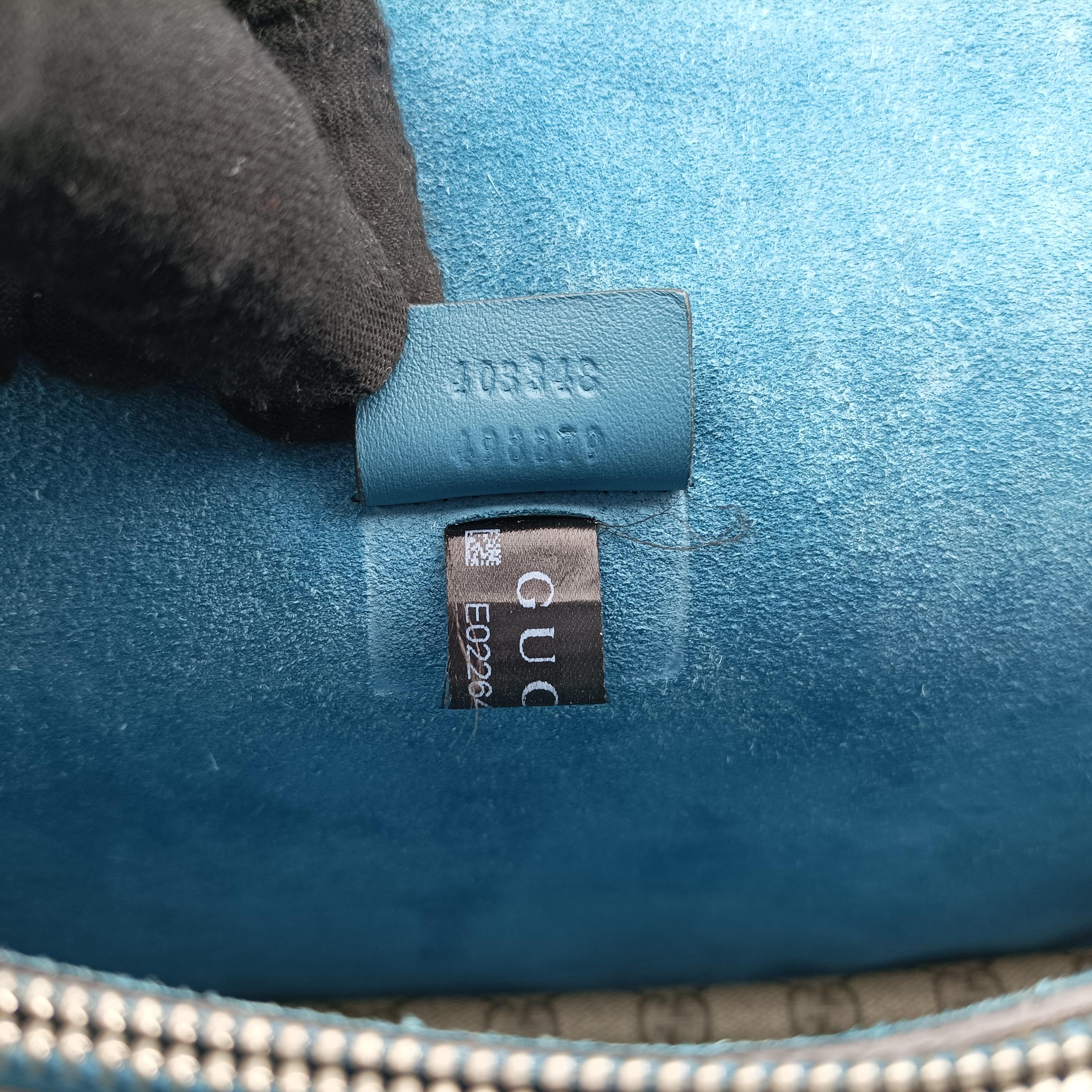 Dionysus Multicolour PVC coated canvas 403348 E022641774ディオニュソス マルチカラー PVCコーティングキャンバス 403348 E022641774