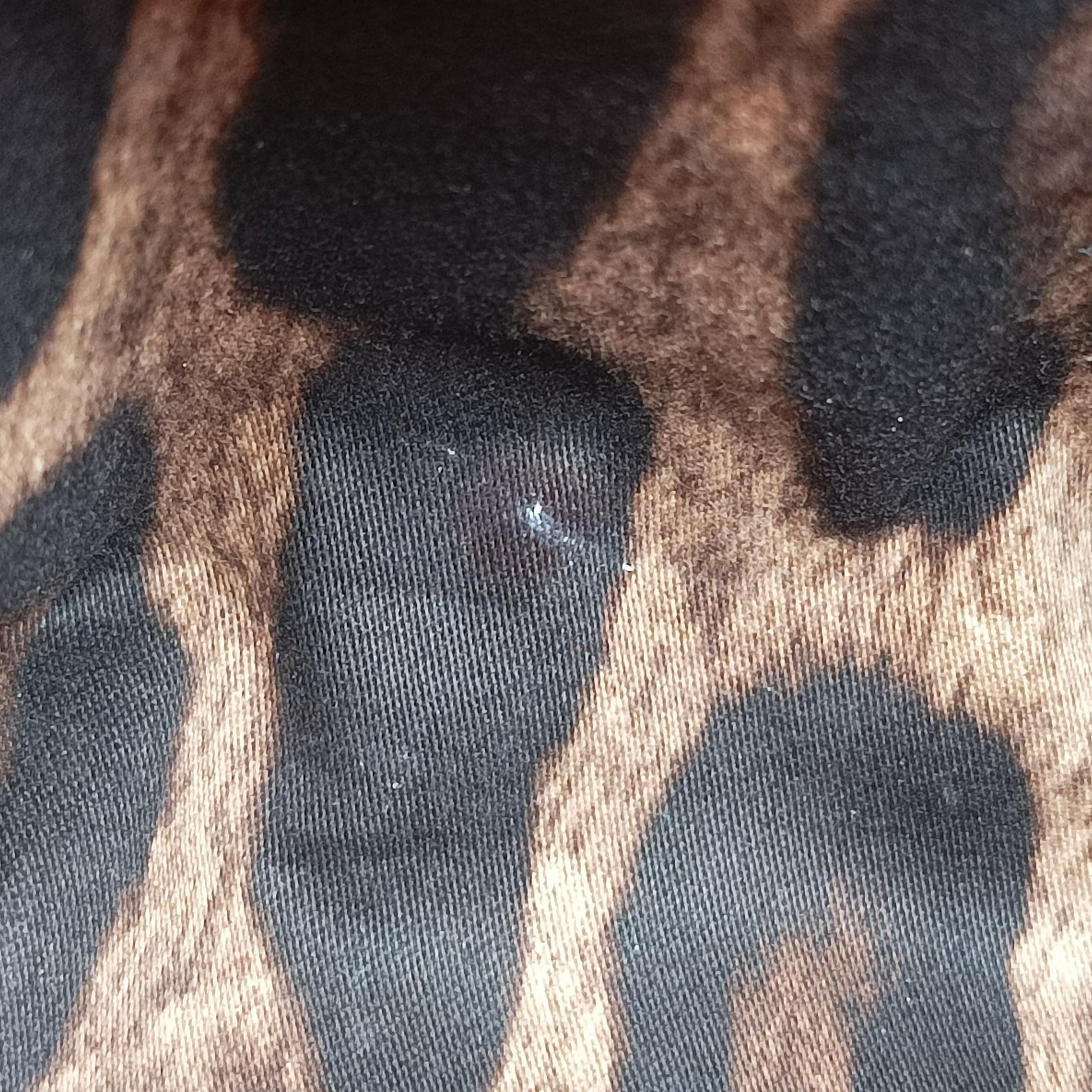 SICILY Multicolour Leather x Canvas × Snakeskin シシリー マルチカラー レザー×キャンバス× スネークスキン 