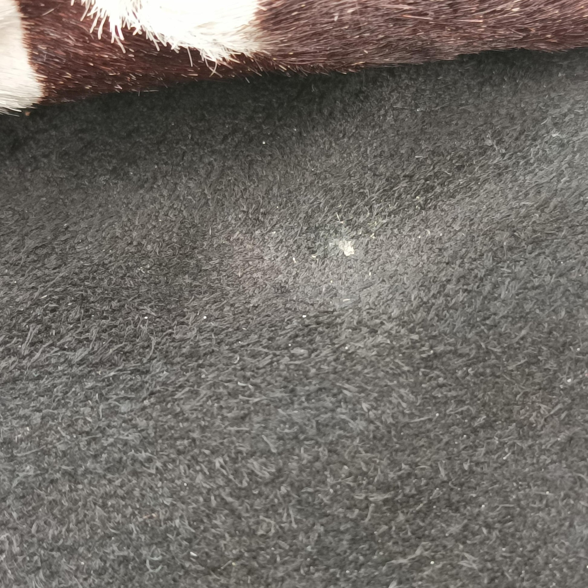 jazz club Brown x Ivory x Black ponyhair 05-MA-0018ジャズクラブ ブラウン×アイボリー×ブラック ハラコ 05-MA-0018