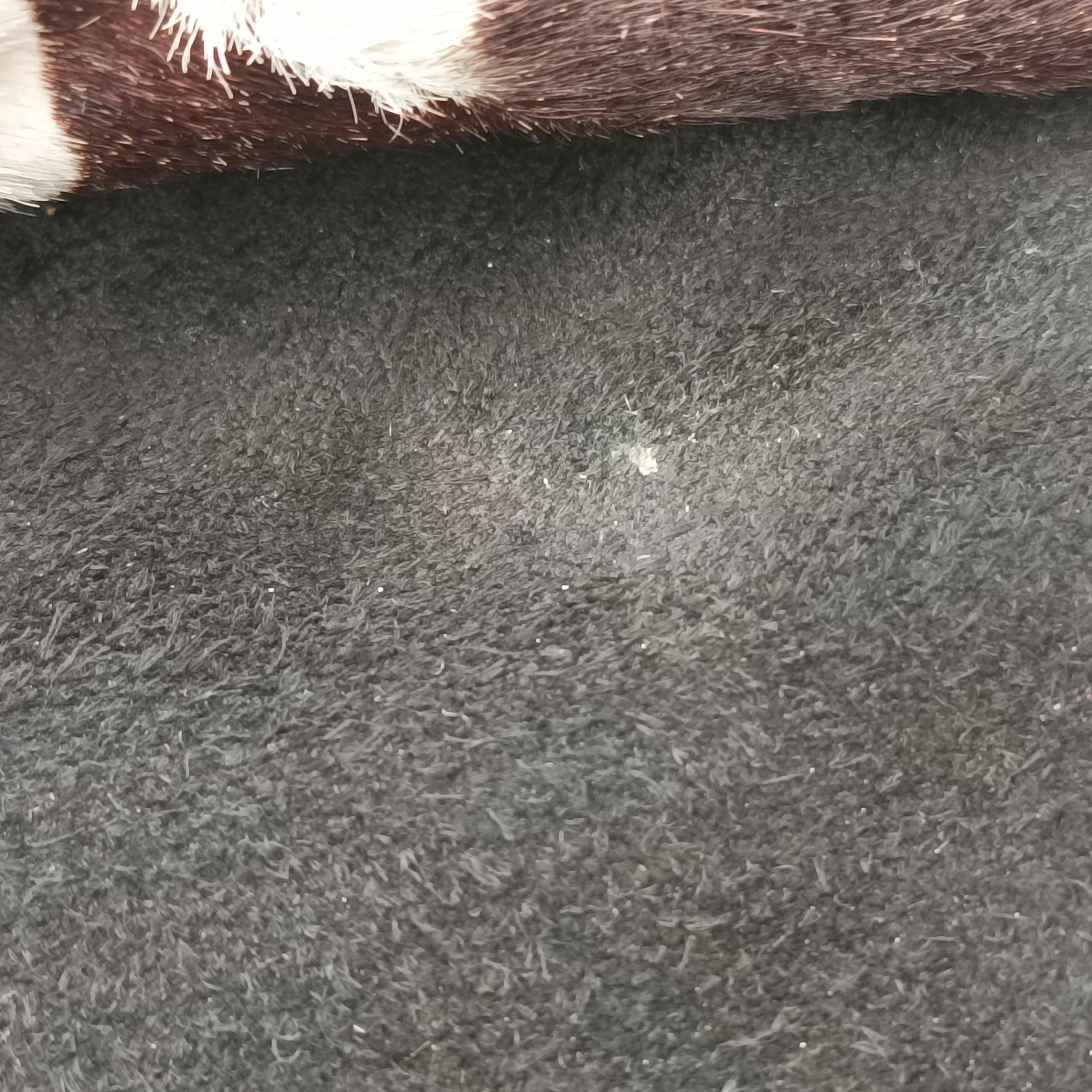 jazz club Brown x Ivory x Black ponyhair 05-MA-0018ジャズクラブ ブラウン×アイボリー×ブラック ハラコ 05-MA-0018