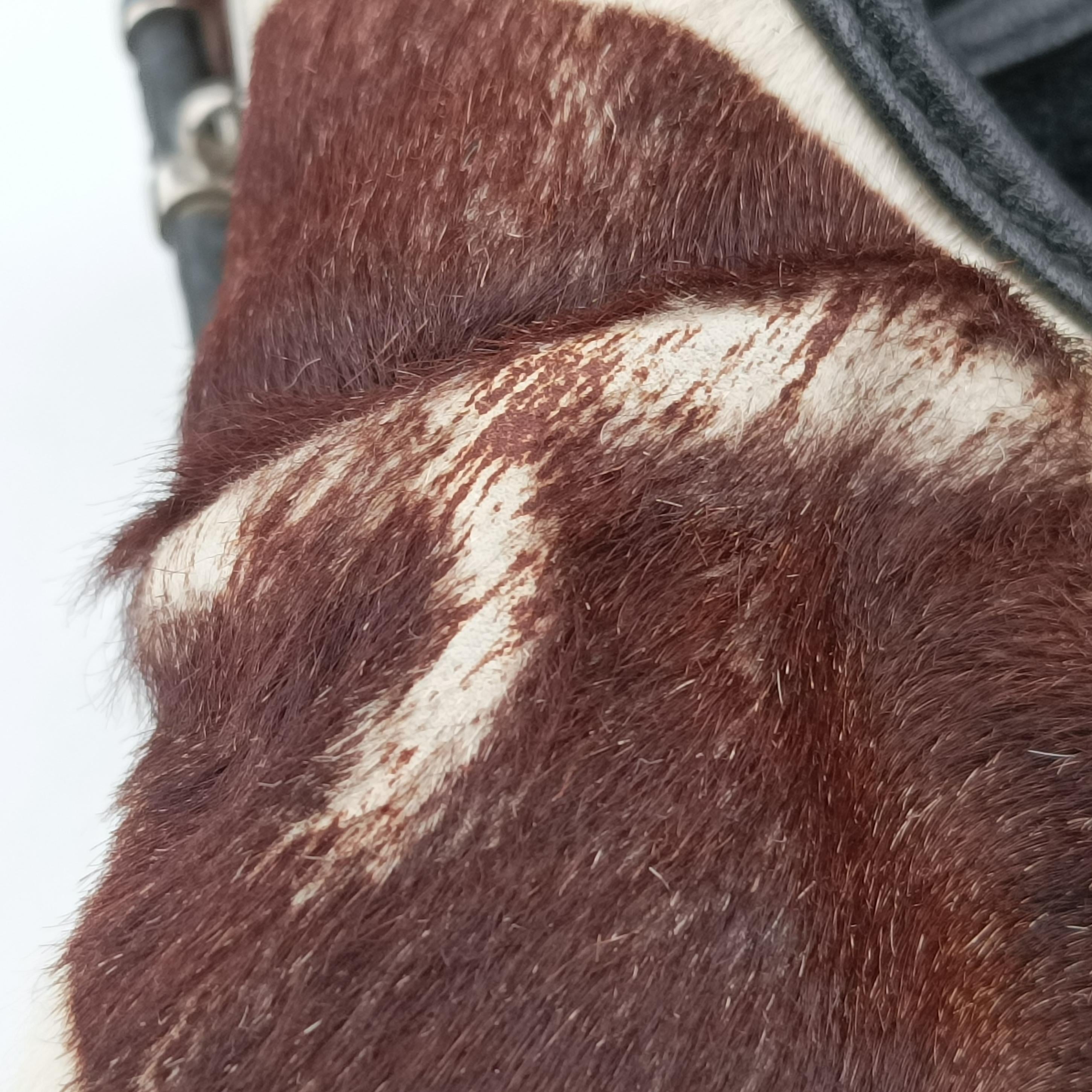 jazz club Brown x Ivory x Black ponyhair 05-MA-0018ジャズクラブ ブラウン×アイボリー×ブラック ハラコ 05-MA-0018