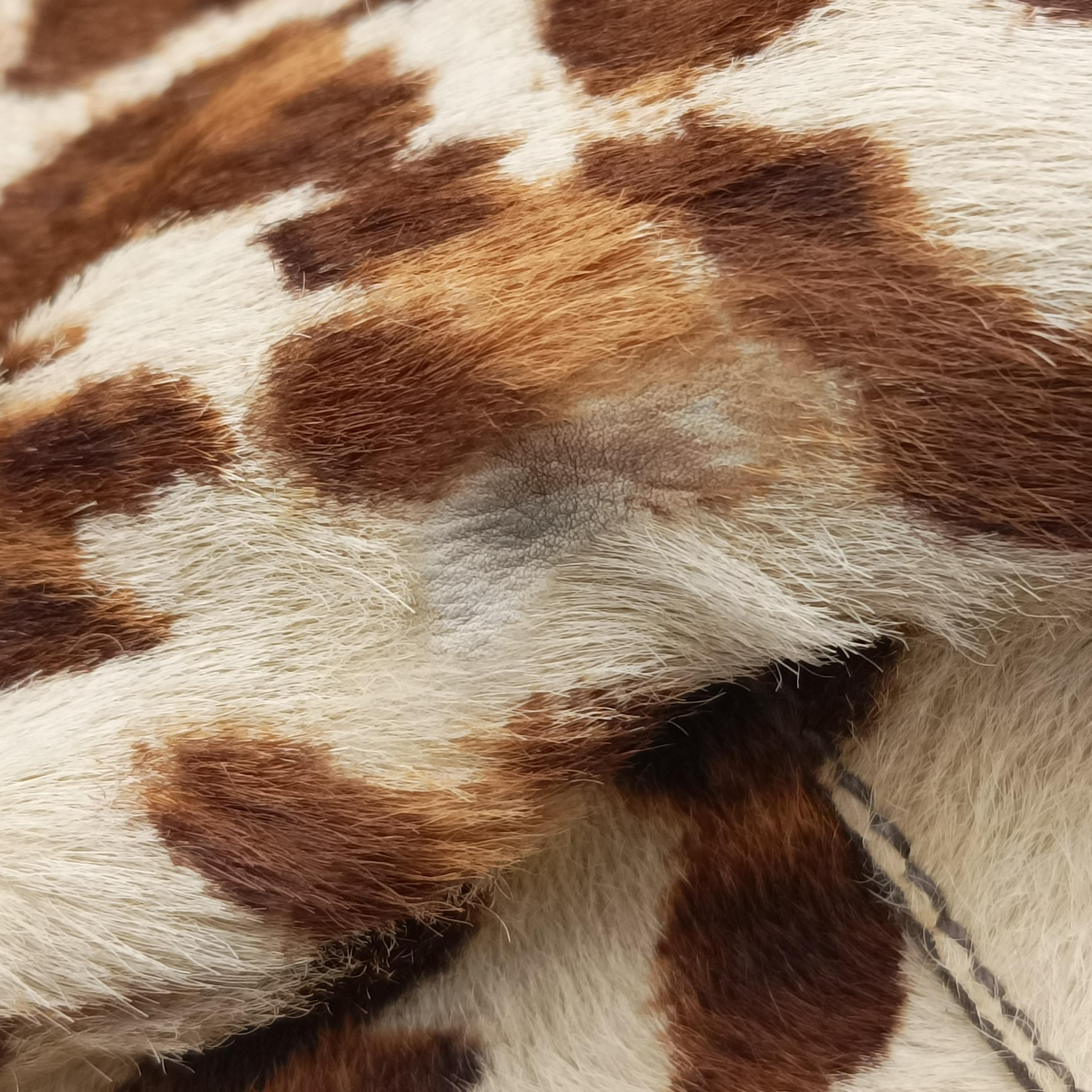 Leopard print Multicolour ponyhair　 123ヒョウ柄レオバード マルチカラー ハラコ 123