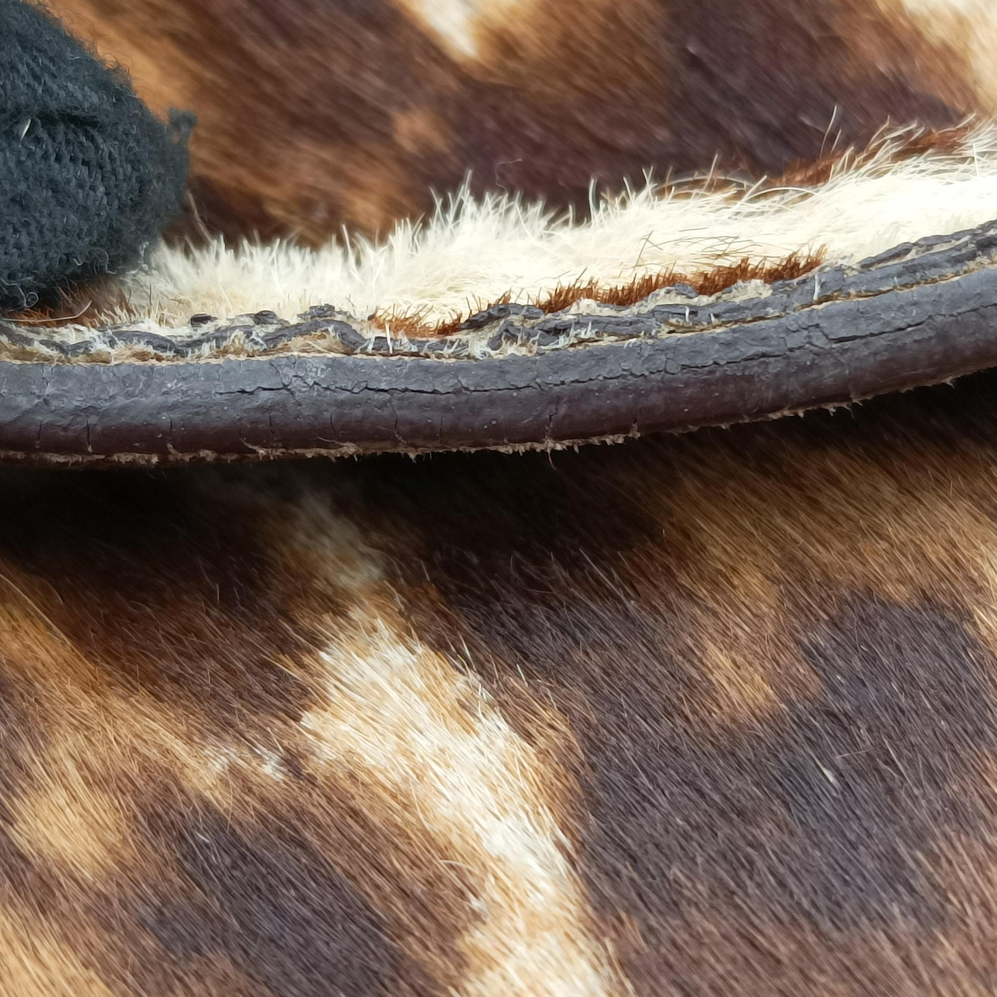 Leopard print Multicolour ponyhair　 123ヒョウ柄レオバード マルチカラー ハラコ 123