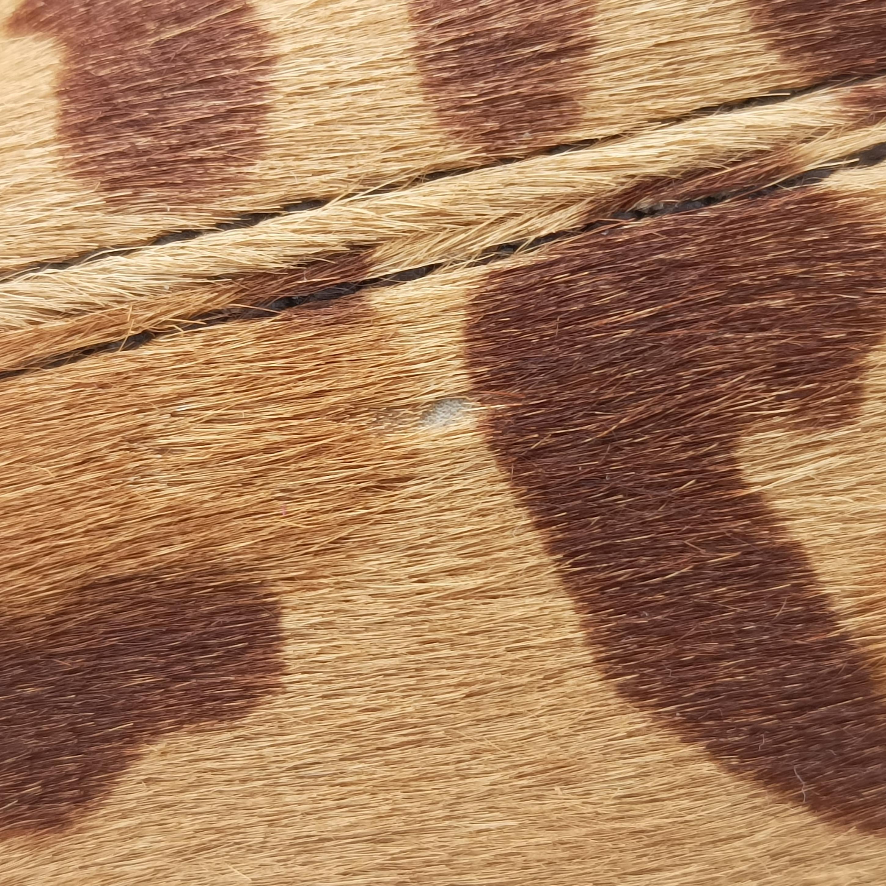 Cheetah Micro Multicolour ponyhair 58チーターマイクロ マルチカラー ハラコ 58