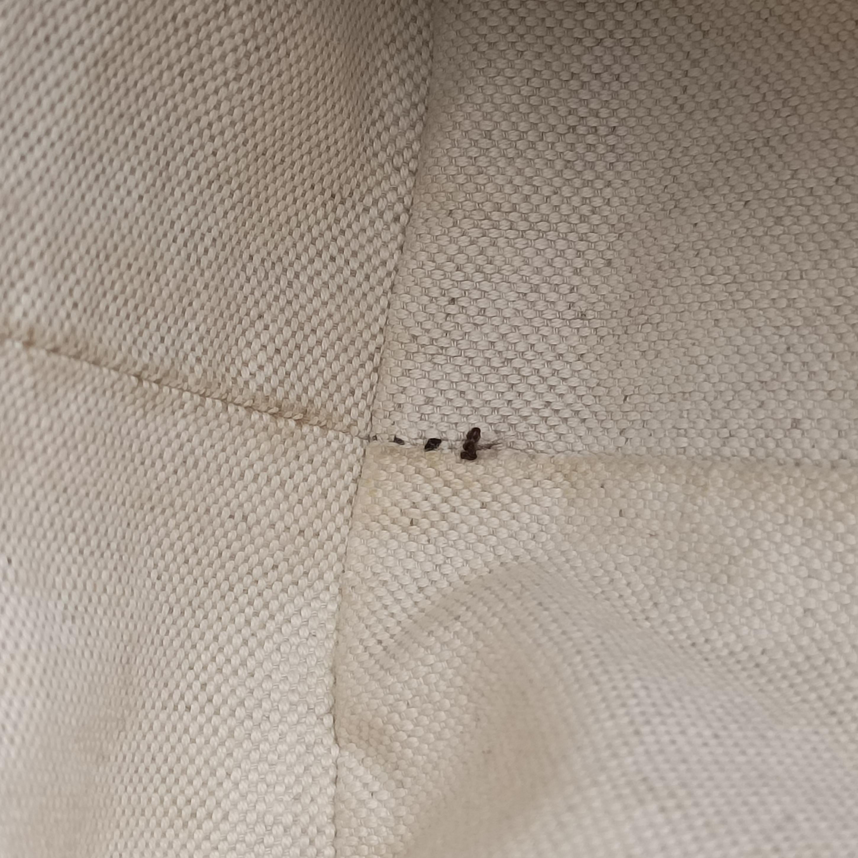 Sukey Brown canvas×leather 211943 H012668308スーキー ブラウン キャンバス×レザー 211943 H012668308