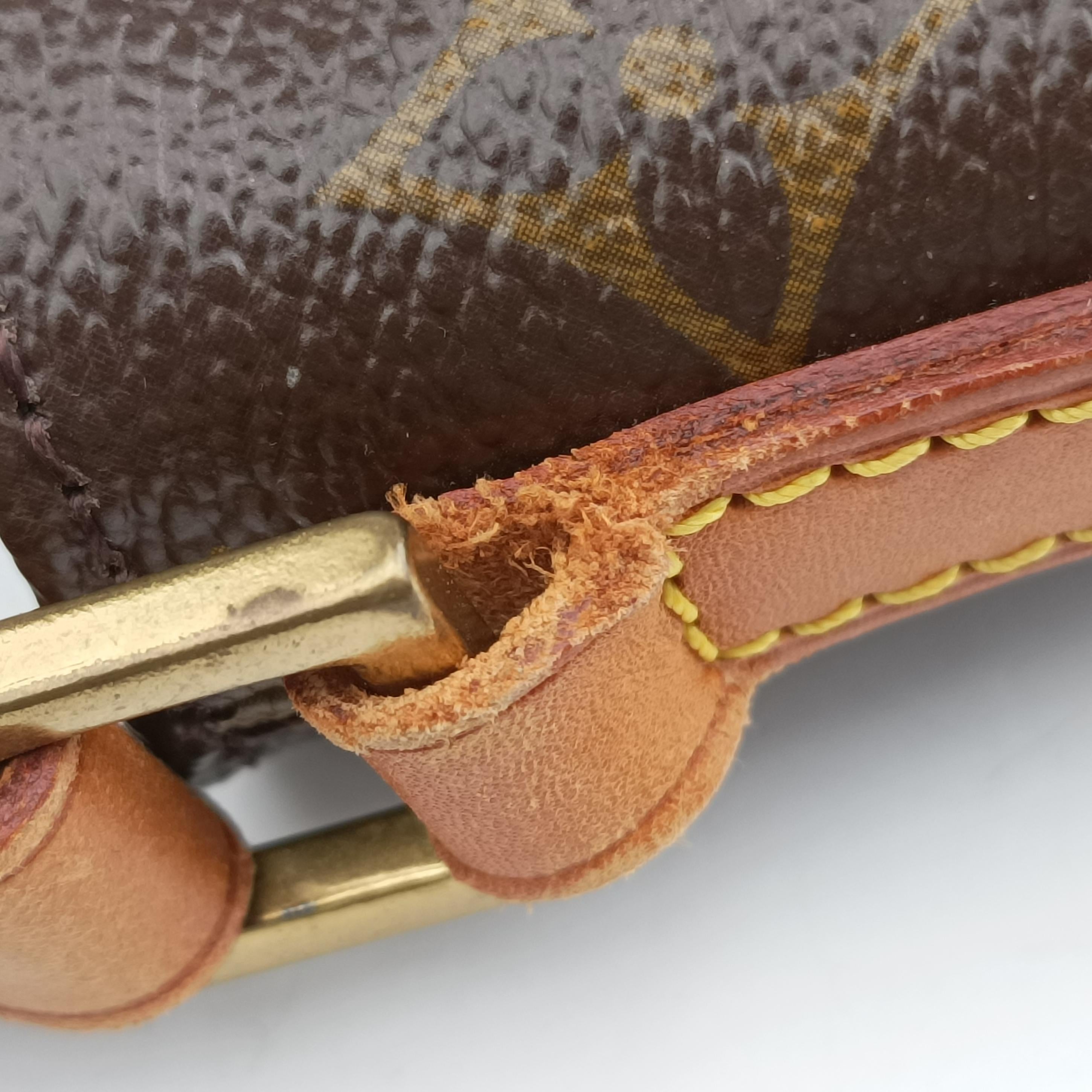 Panda Trotter Monogram Brown×multicolor　　　　　　　　　　 PVC coated canvas leather M51241 AR0094パンダトロッターモノグラム モノグラム/ブラウン系×マルチカラー PVCコーティングキャンバス レザー M51241 AR0094