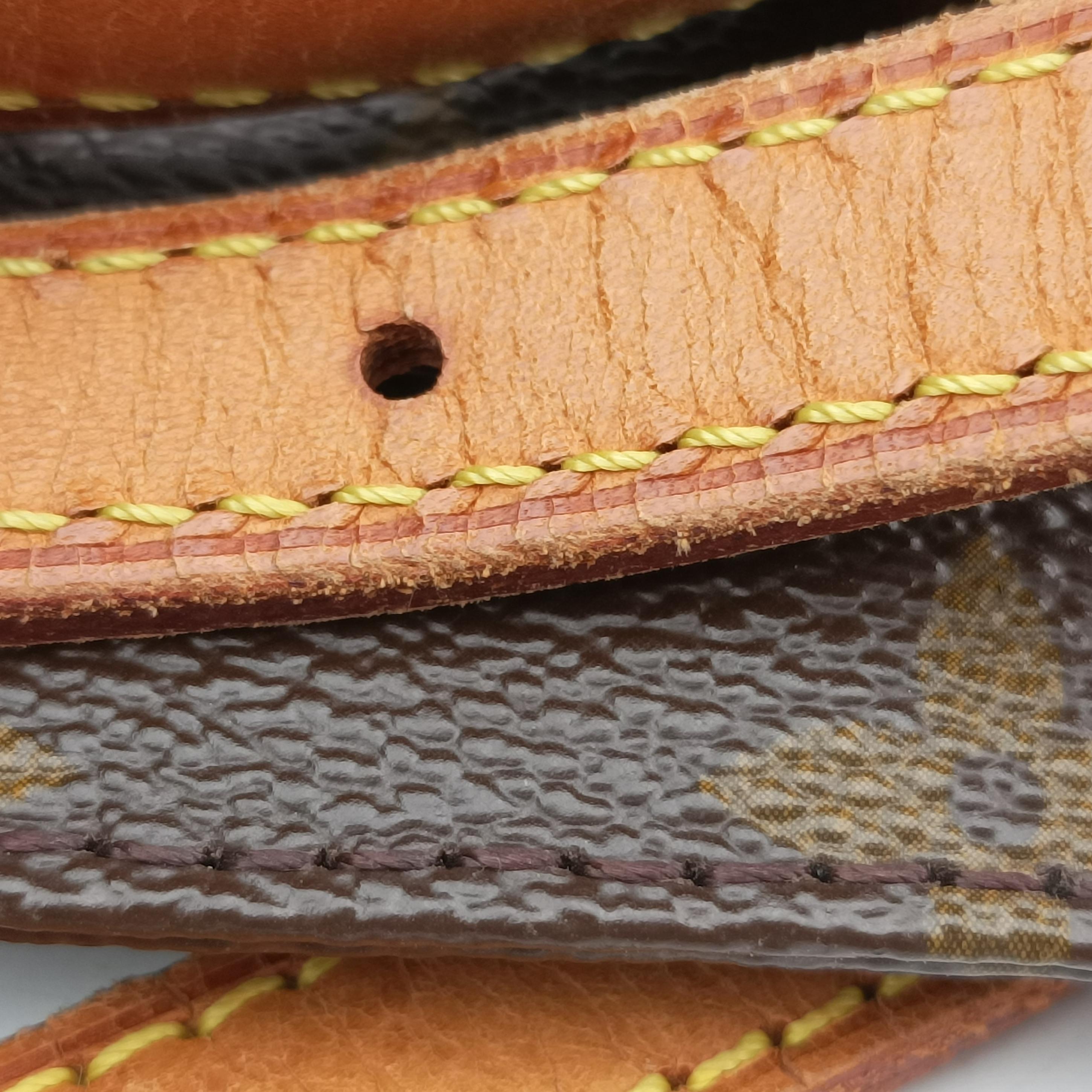 Panda Trotter Monogram Brown×multicolor　　　　　　　　　　 PVC coated canvas leather M51241 AR0094パンダトロッターモノグラム モノグラム/ブラウン系×マルチカラー PVCコーティングキャンバス レザー M51241 AR0094