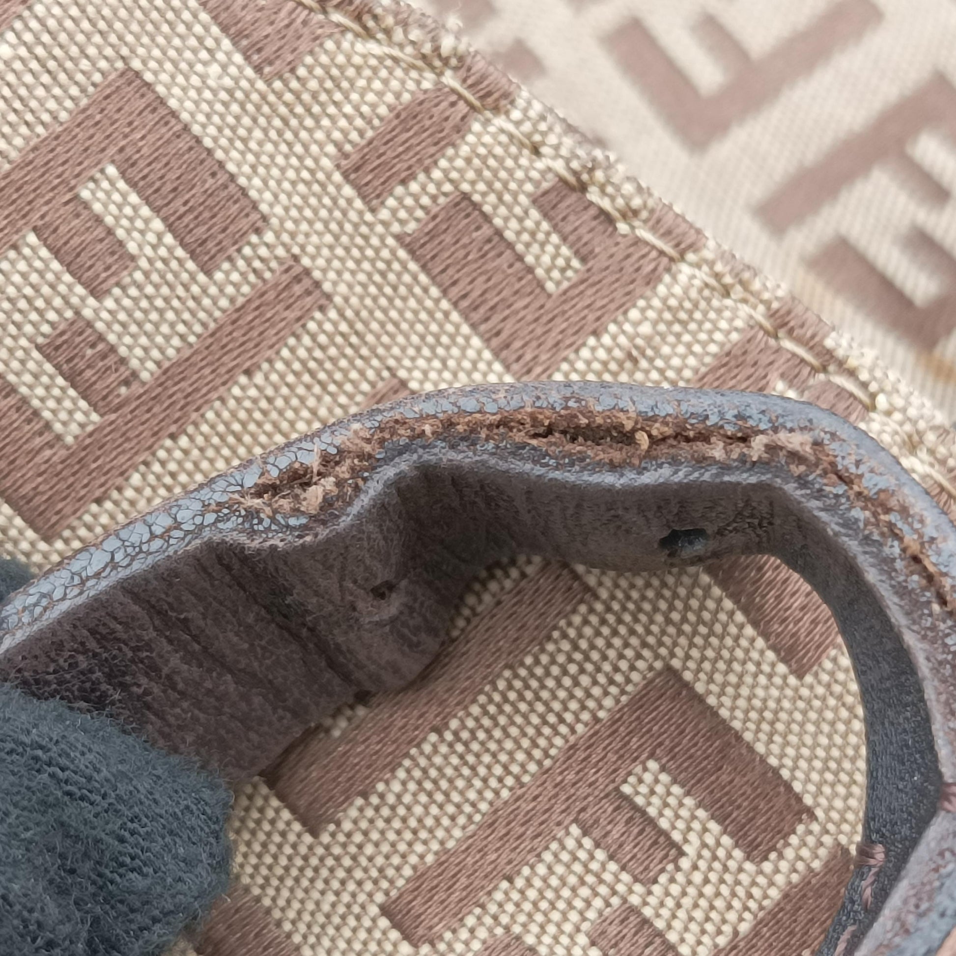 Zucchino FF Brown canvas 8BZ002 2262 8BZ002-019ズッキーニFF ブラウン キャンバス 8BZ002 2262 8BZ002-019
