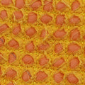 Veneta Yellow lambskin B006045231ヴェネタ イエロー ラムスキン B006045231
