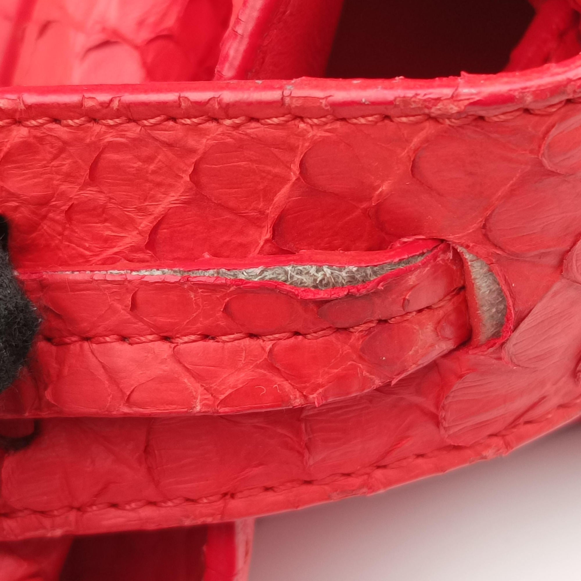Phantom Luggage Python Red snakeskin W-PA-0163ファントム ラゲージ パイソン レッド ヘビ革 W-PA-0163