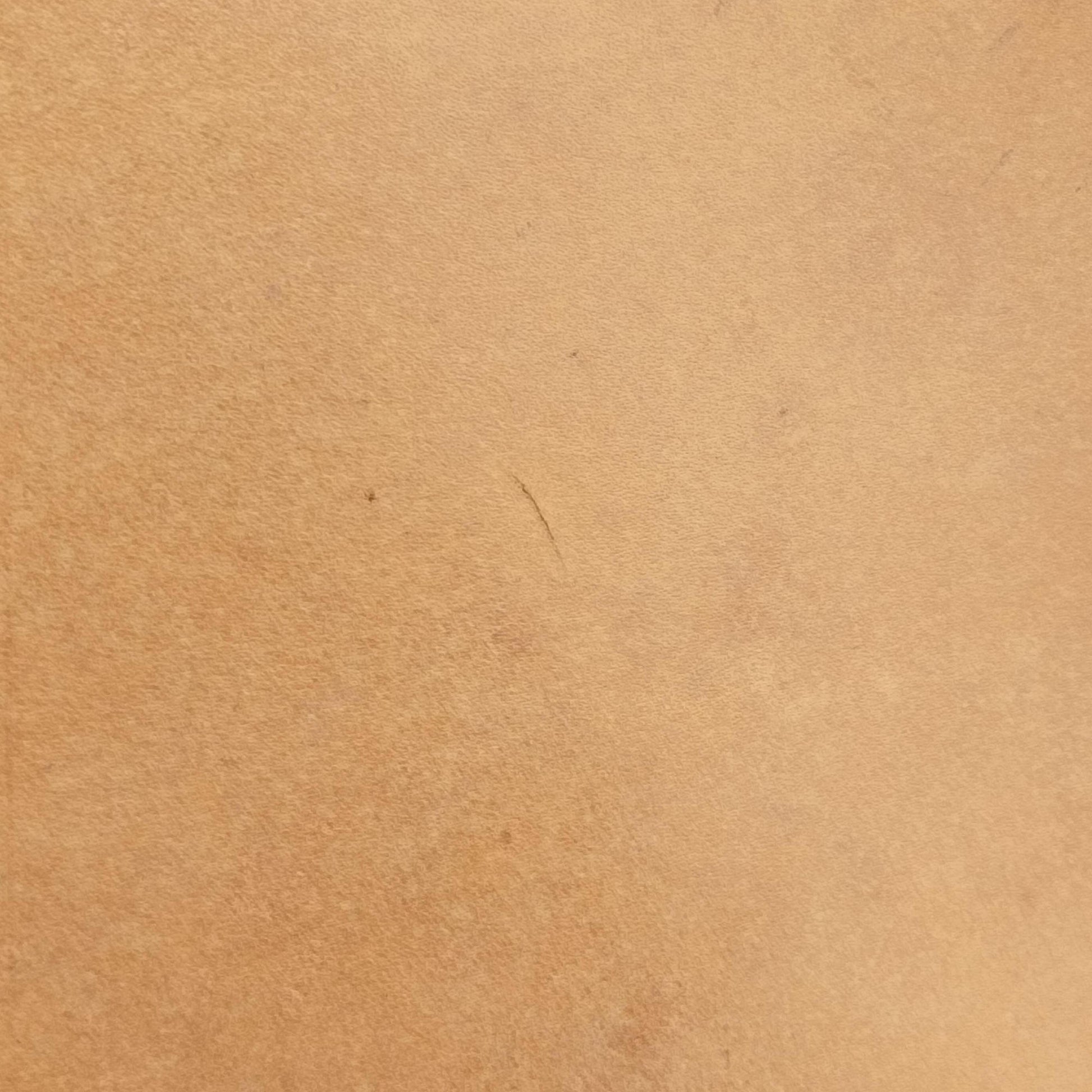 Noe Brown Monogram Canvas M42224 AR2038ノエ モノグラム/ブラウン モノグラムキャンバス M42224 AR2038