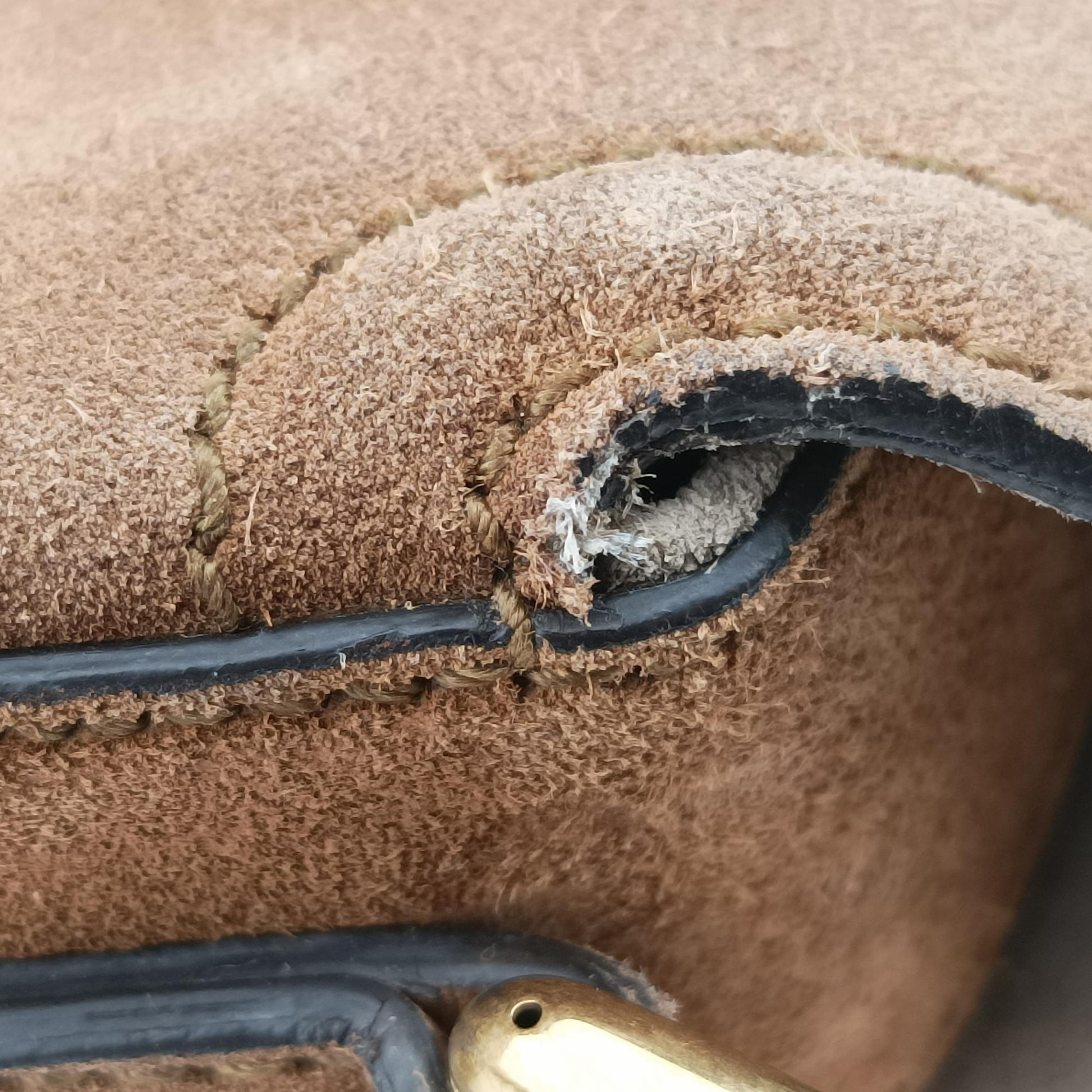 Lady Web Brown Suede 380573 E019657268レディ ウェブ ブラウン スエード 380573 E019657268