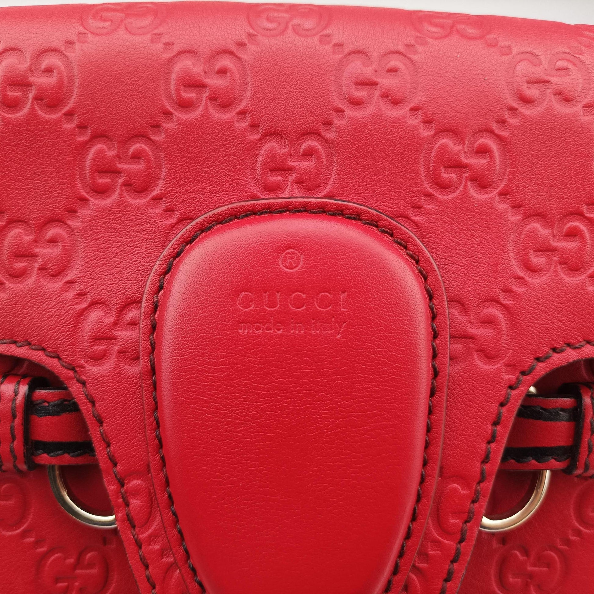 Emily Red Leather 295402 G012752354エミリー レッド レザー 295402 G012752354