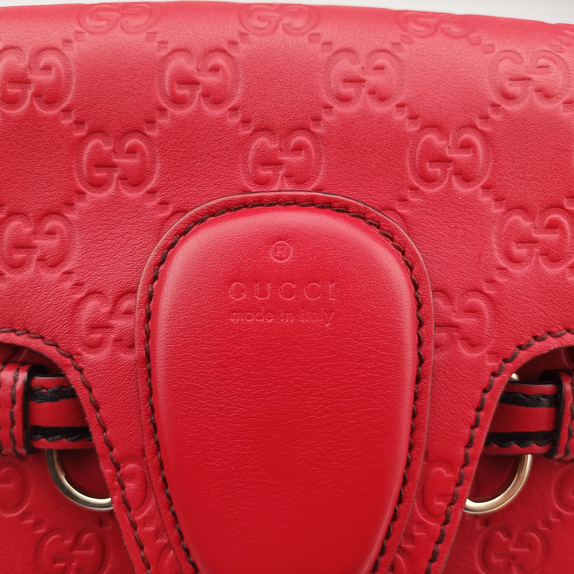 Emily Red Leather 295402 G012752354エミリー レッド レザー 295402 G012752354