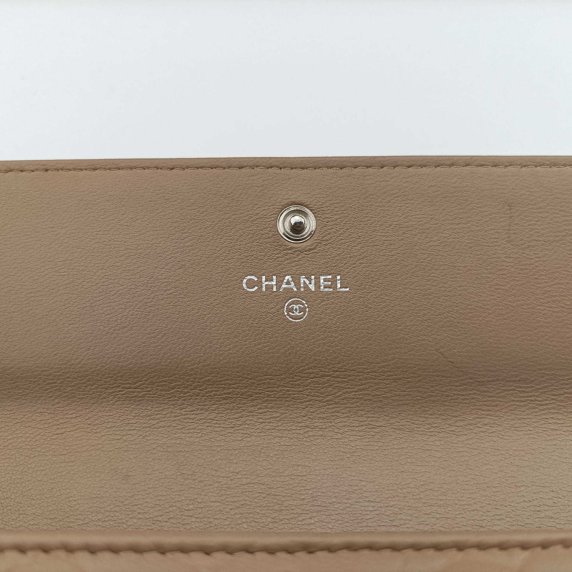 camellia Camel lambskin A50084 17799319カメリア キャメル ラムスキン A50084 17799319