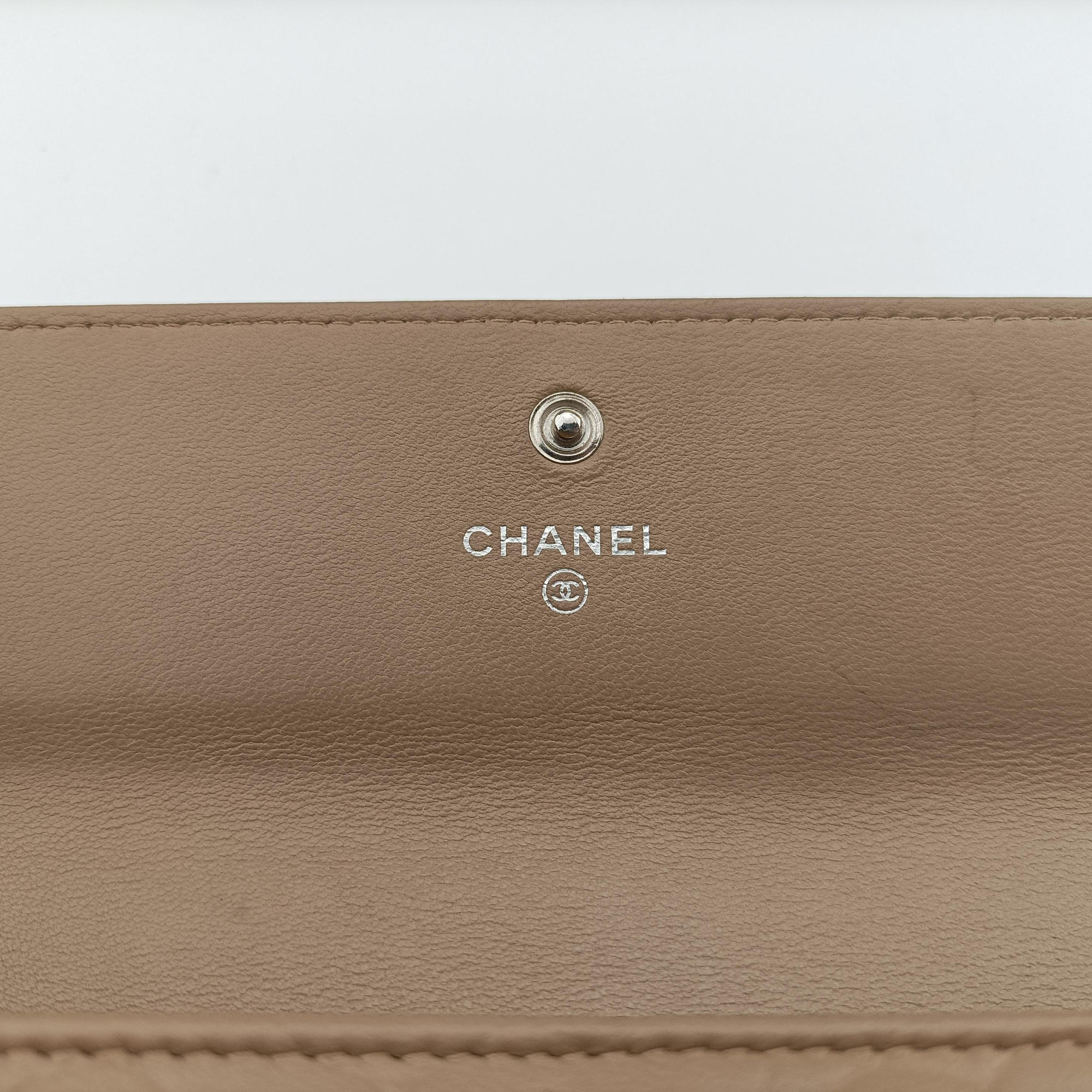 camellia Camel lambskin A50084 17799319カメリア キャメル ラムスキン A50084 17799319