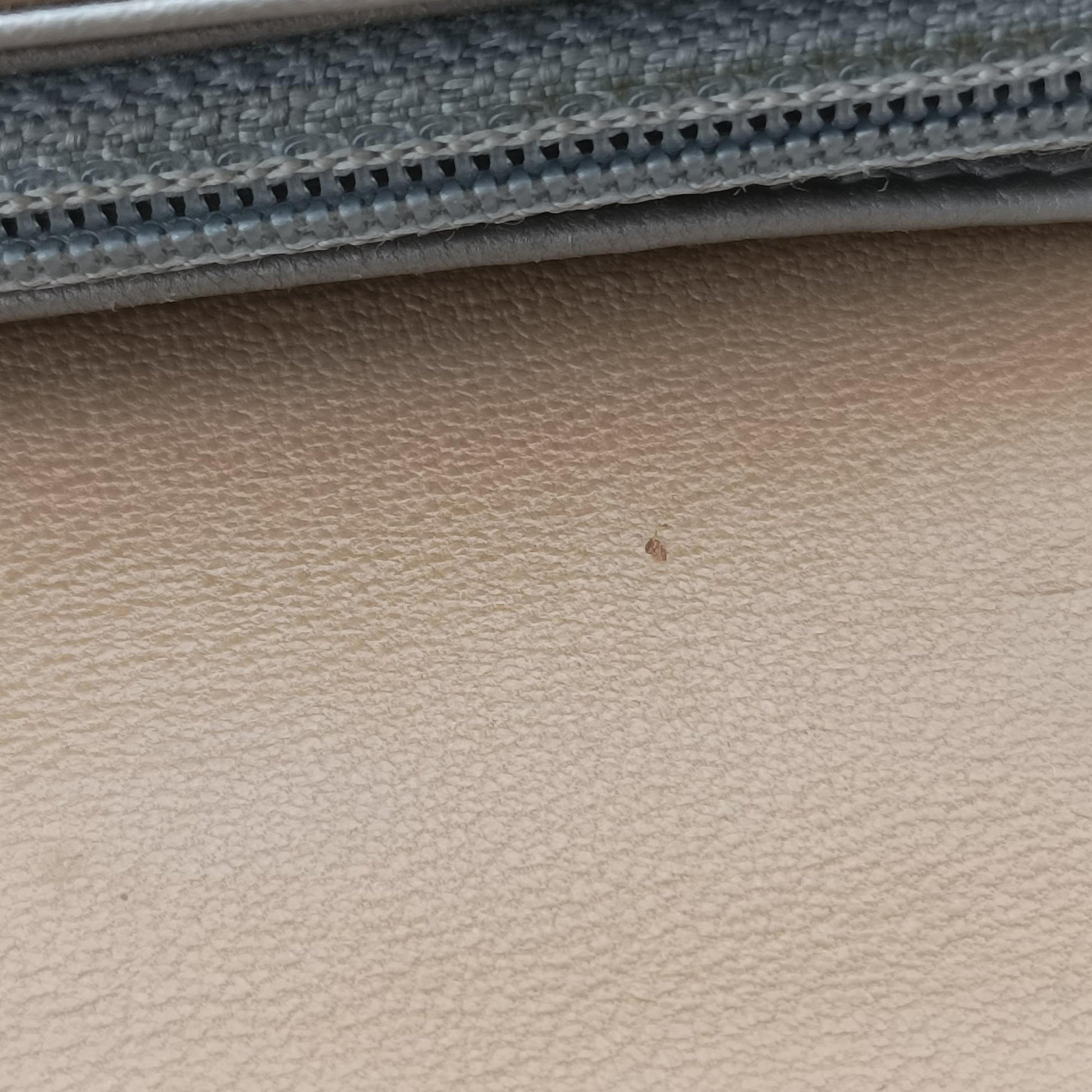 camellia Camel lambskin A50084 17799319カメリア キャメル ラムスキン A50084 17799319
