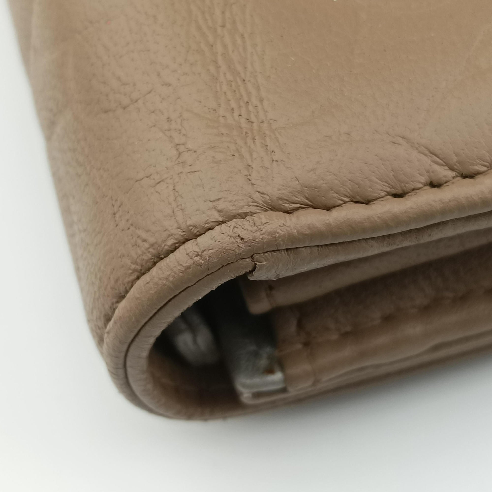 camellia Camel lambskin A50084 17799319カメリア キャメル ラムスキン A50084 17799319