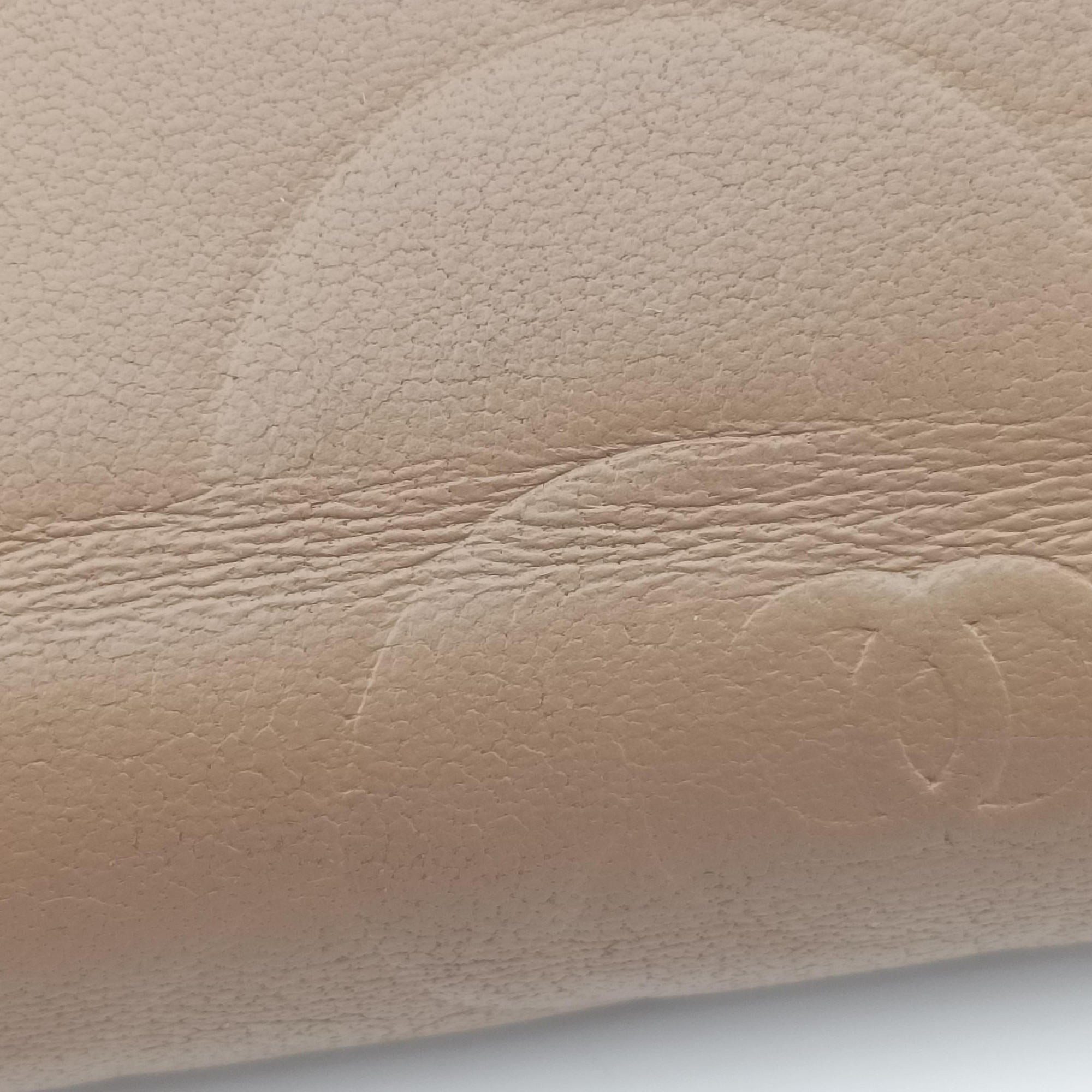 camellia Camel lambskin A50084 17799319カメリア キャメル ラムスキン A50084 17799319