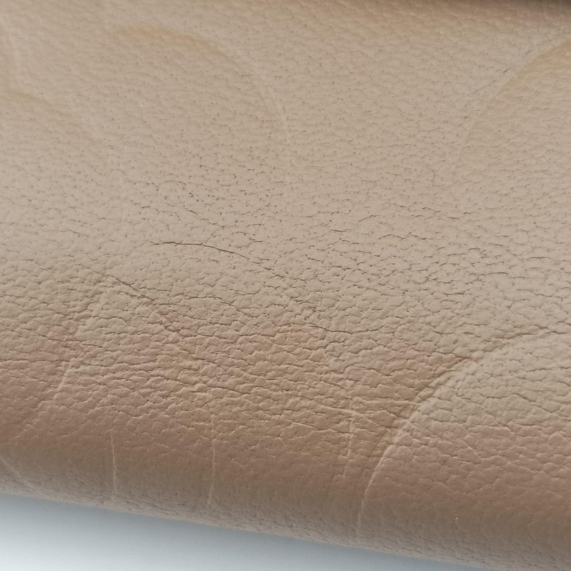 camellia Camel lambskin A50084 17799319カメリア キャメル ラムスキン A50084 17799319