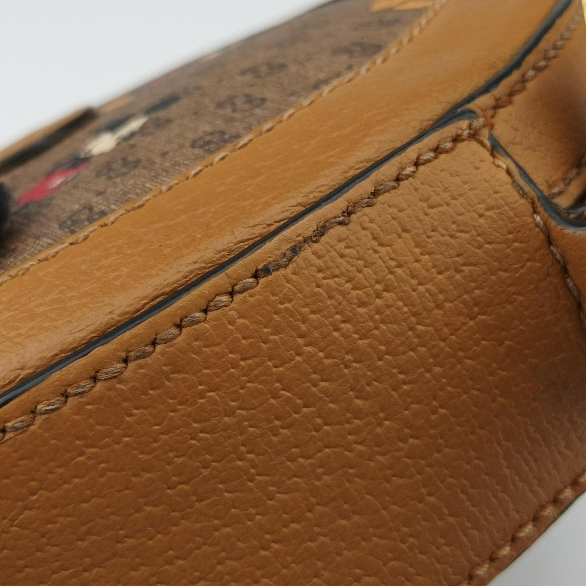 DISNEY Collaboration Mickey Mouse Brown×Multicolour PVC coated canvas×Leather 603938 Lot number unknownディズニーコラボ ミッキーマウス ブラウン×マルチカラー PVCコーティングキャンバス×レザー 603938 製番不明