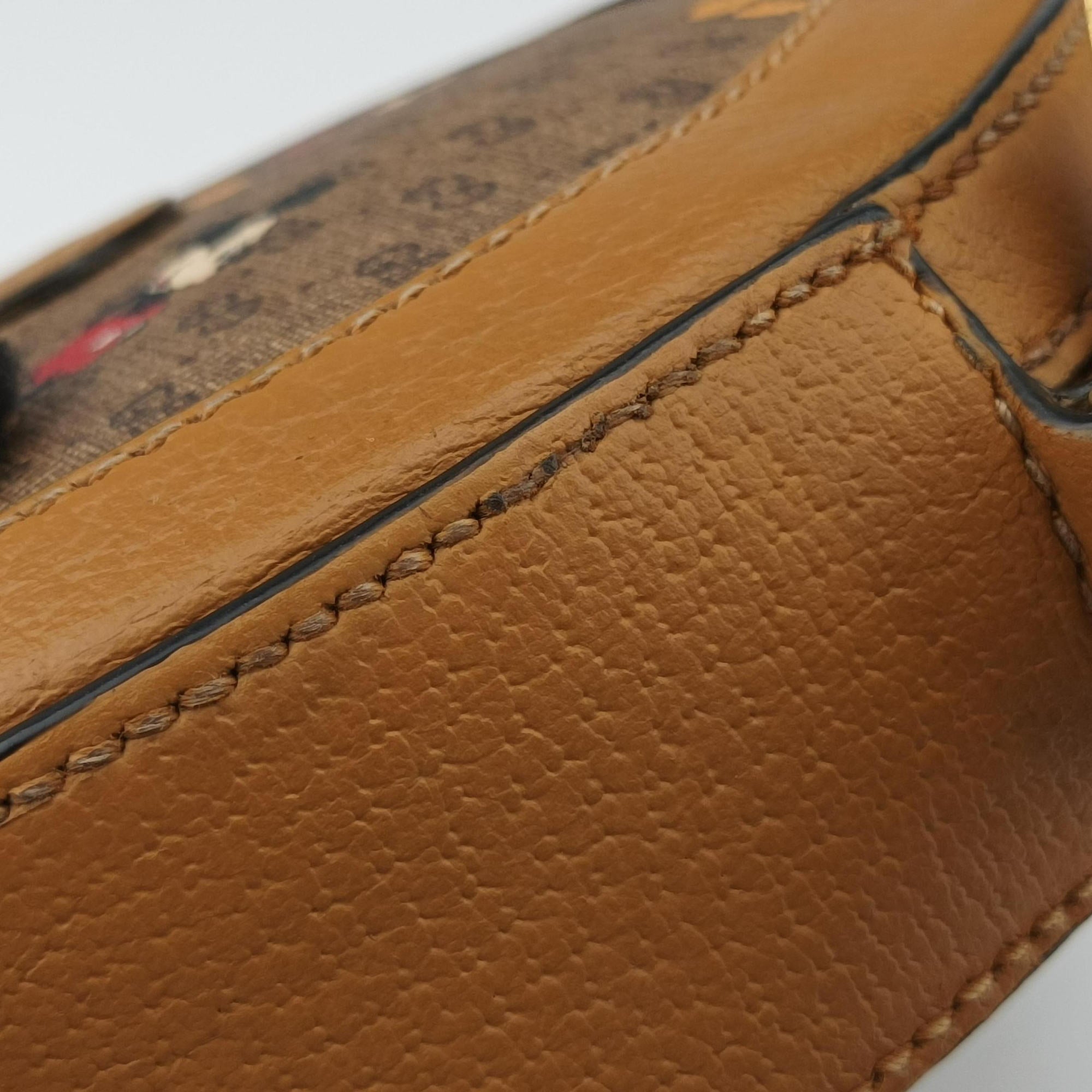 DISNEY Collaboration Mickey Mouse Brown×Multicolour PVC coated canvas×Leather 603938 Lot number unknownディズニーコラボ ミッキーマウス ブラウン×マルチカラー PVCコーティングキャンバス×レザー 603938 製番不明