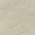 ALMA PM CITRINE Vernis M90101 FL1101アルマPM シトリン ヴェルニ M90101 FL1101