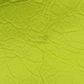 Le Cagole Green lambskin 695814-7206-S-493075ルカゴール グリーン ラムスキン 695814-7206-S-493075
