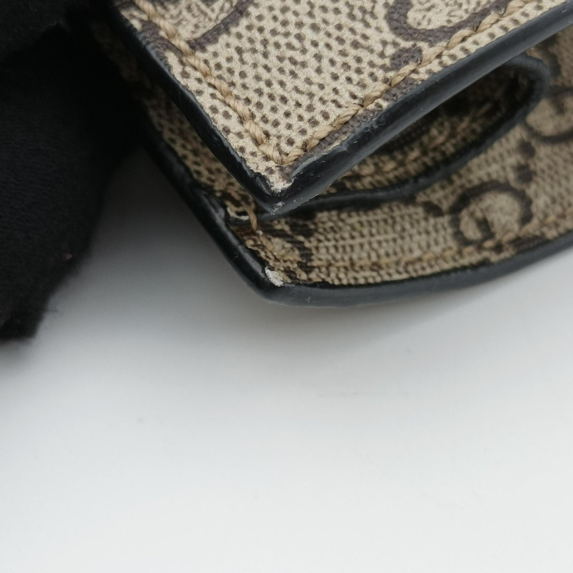 GG Supreme Wolf Print beige×Multicolour PVC coated canvasｘLeather 450950 H023639578GGスプリーム ウルフ プリント ベージュ×マルチカラー PVCコーティングキャンバスｘレザー 450950 H023639578