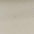 Dionysus White Leather 421970 H031090850ディオニュソス ホワイト レザー 421970 H031090850