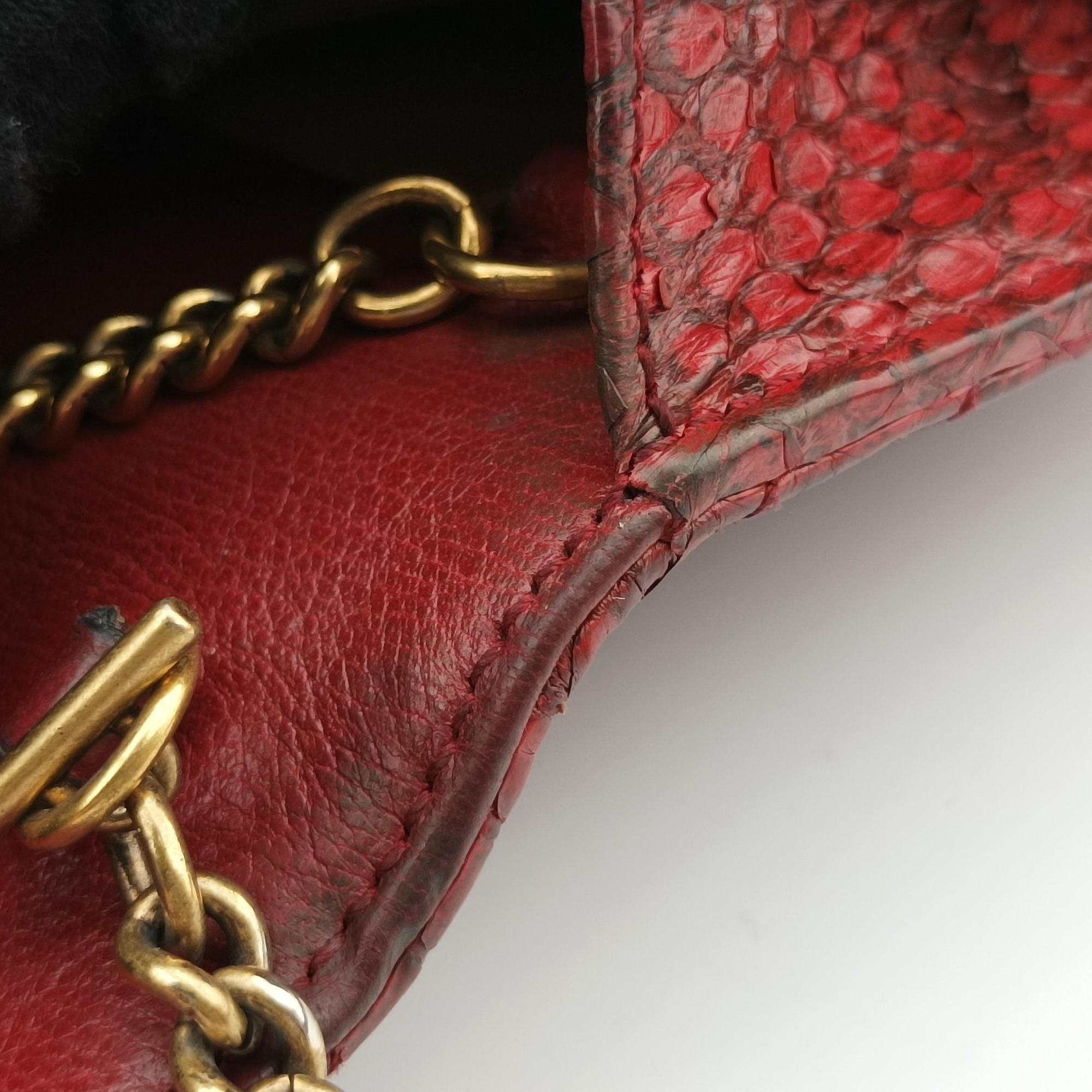 GG Marmont Red snakeskin 488426 GGマーモント レッド ヘビ革 488426 