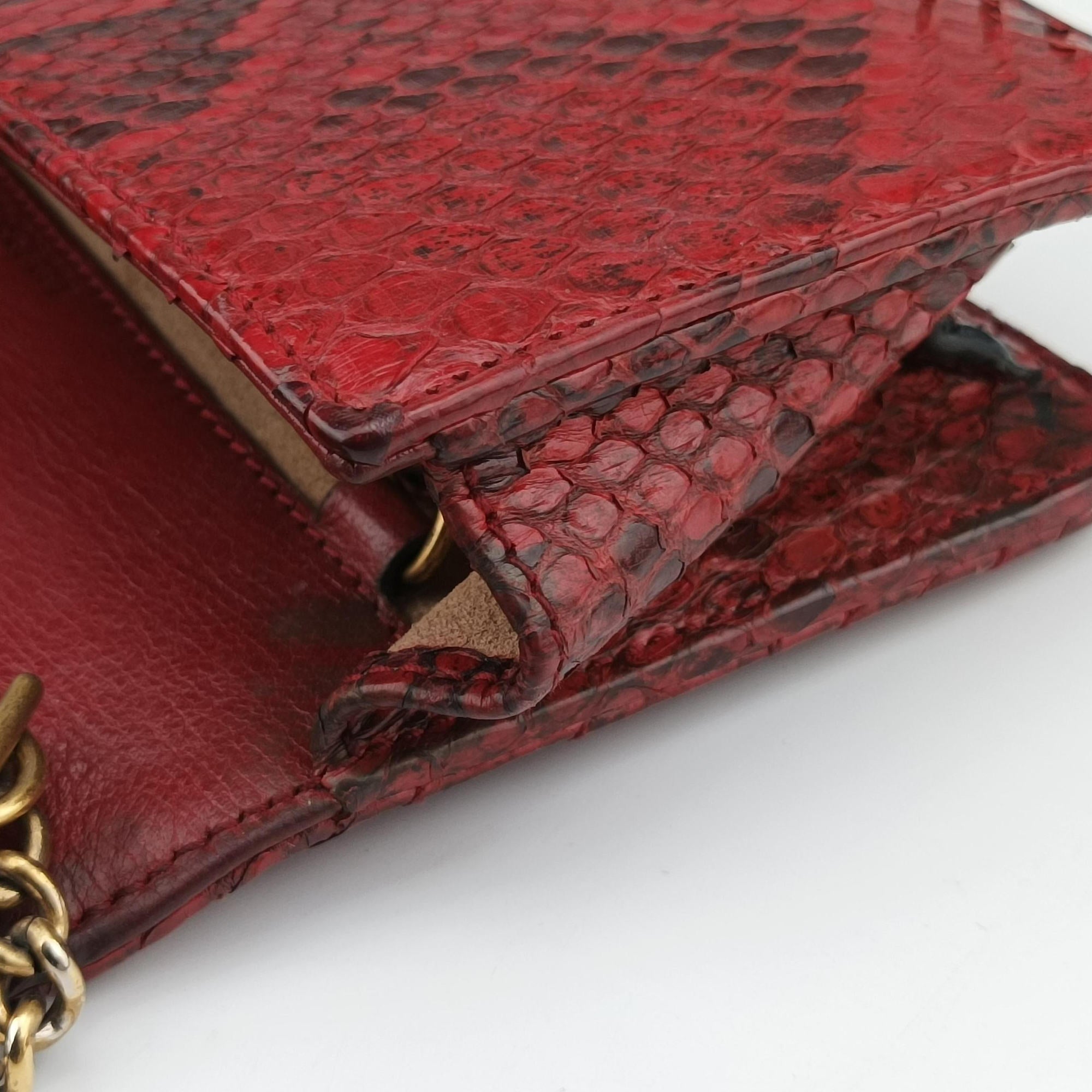 GG Marmont Red snakeskin 488426 GGマーモント レッド ヘビ革 488426 
