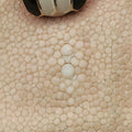 Serpenti Beige × Pink Galuchat Skin×Leather EK.L18.287055セルペンティ ベージュ × ピンク ガルーシャスキン×ザー EK.L18.287055