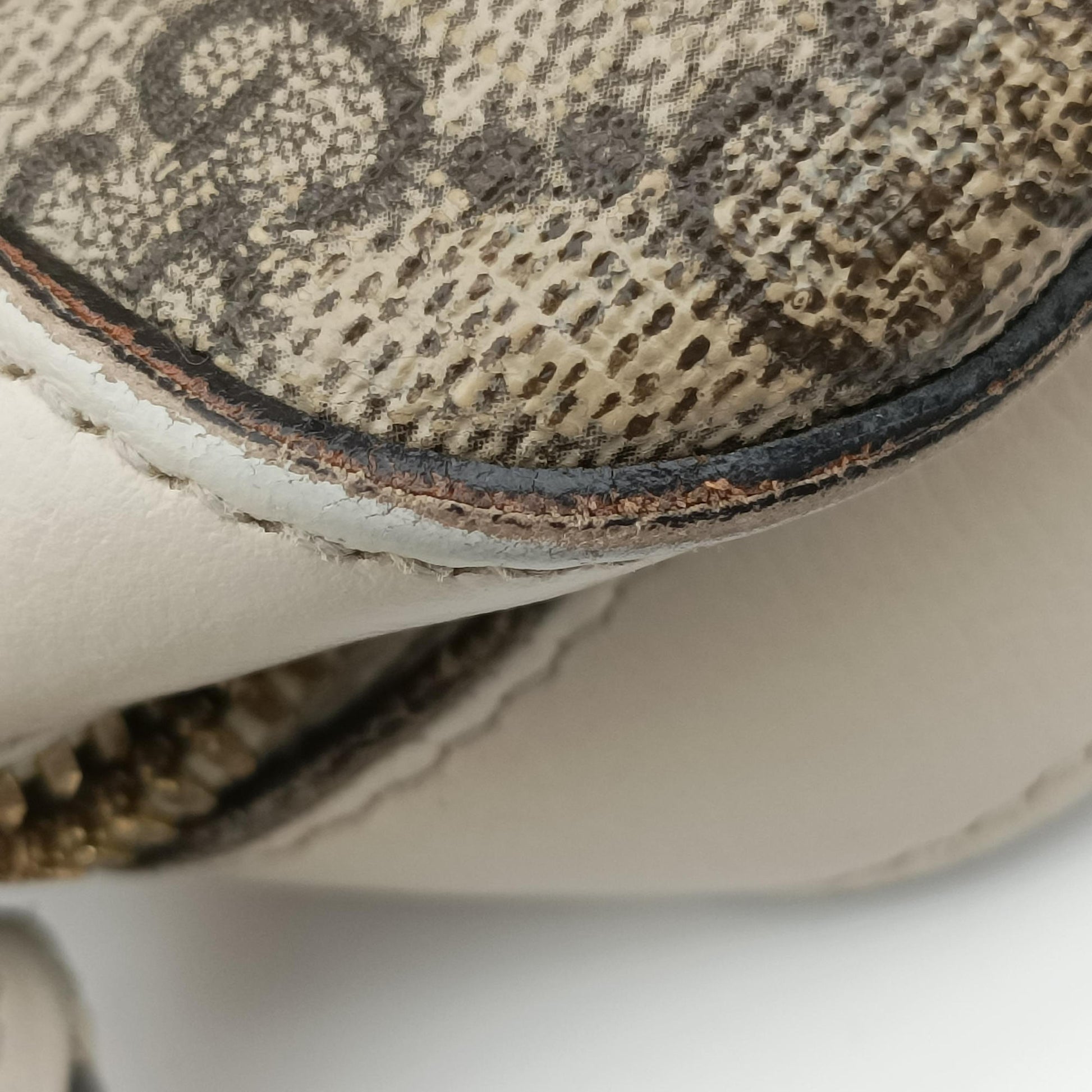 Horsebit 1955 beige×white PVC coated canvas×Leather 645454 G035414152ホースビット 1955 ベージュ×ホワイト PVCコーティングキャンバス×レザー 645454 G035414152