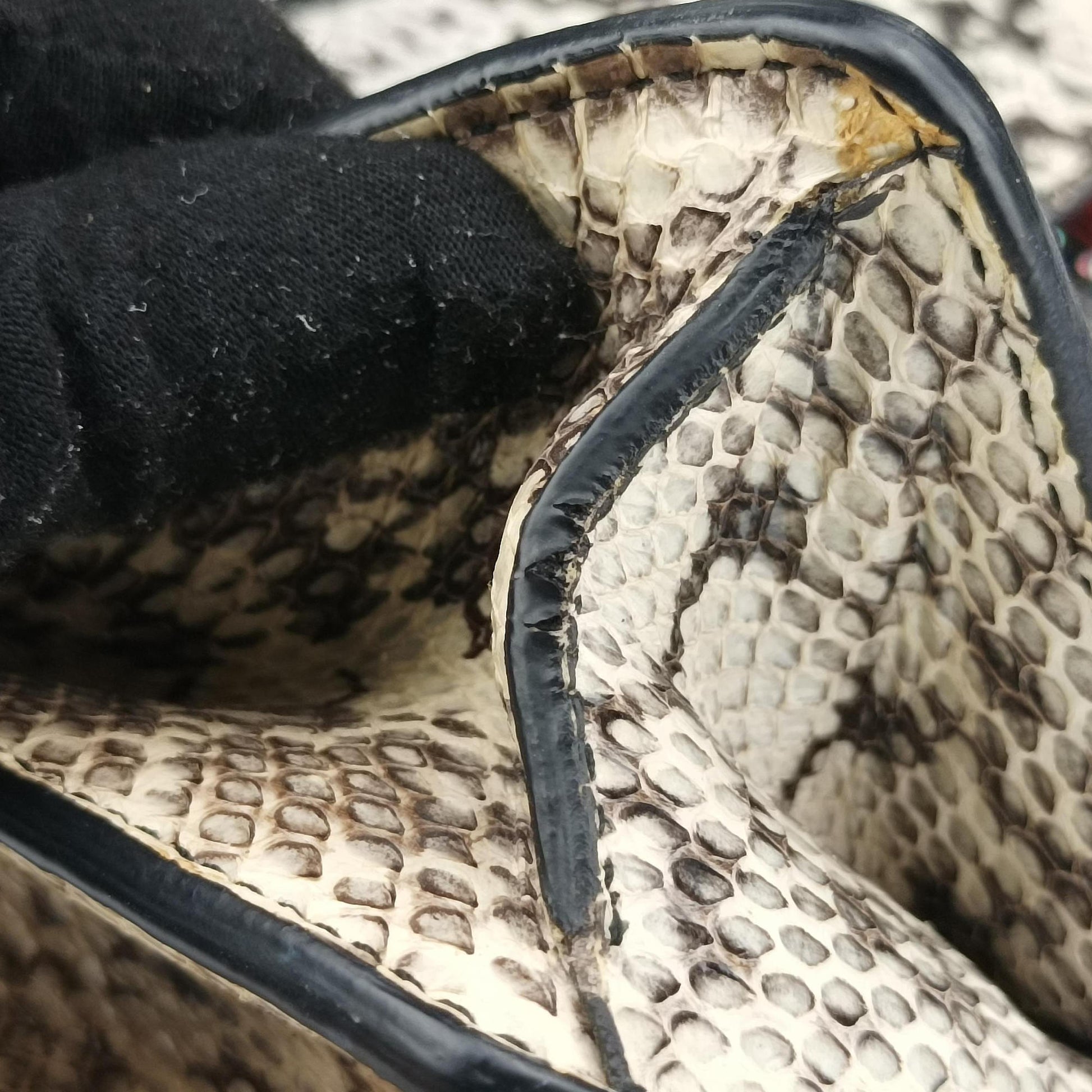 Dionysus Beige×Multicolour PVC coated canvas×snakeskin 400235 Lot number unknownディオニュソス ベージュ×マルチカラー PVCコーティングキャンバス×ヘビ革 400235 製番不明