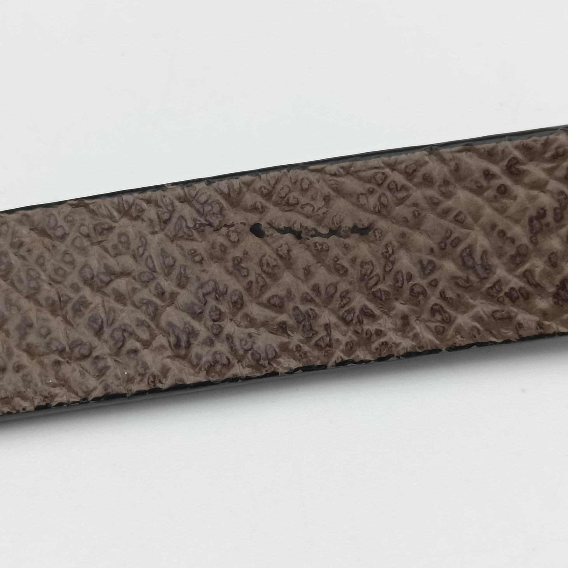 GG supreme Globe-Trotter Brown PVC coated canvas×Leather 533623 GGスプリーム グローブトロッター ブラウン PVCコーティングキャンバス×レザー 533623 