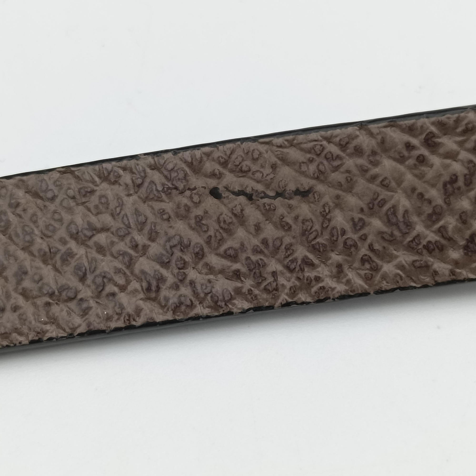 GG supreme Globe-Trotter Brown PVC coated canvas×Leather 533623 GGスプリーム グローブトロッター ブラウン PVCコーティングキャンバス×レザー 533623 