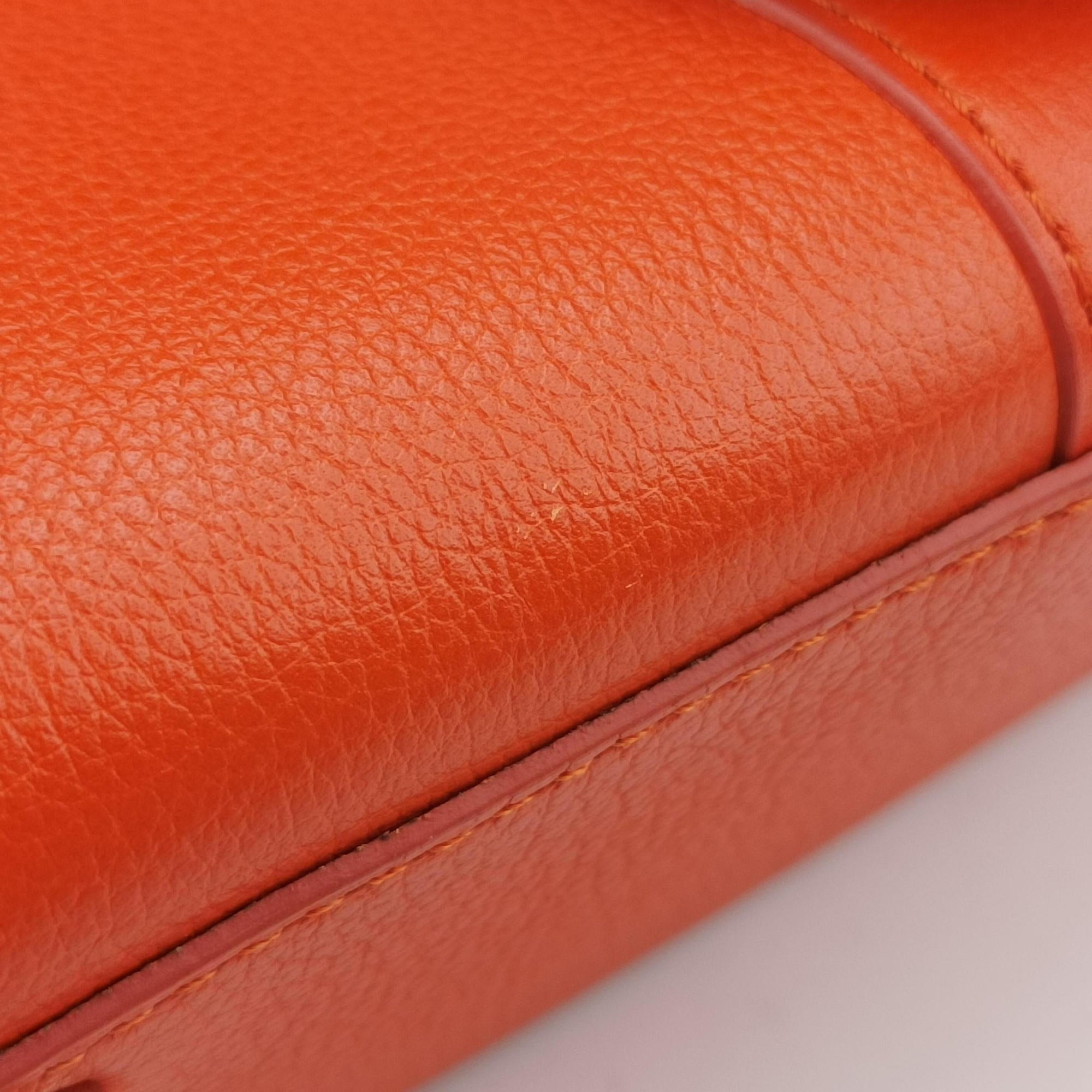 Brillant Mini Orange Leather ブリヨン ミニ オレンジ レザー 