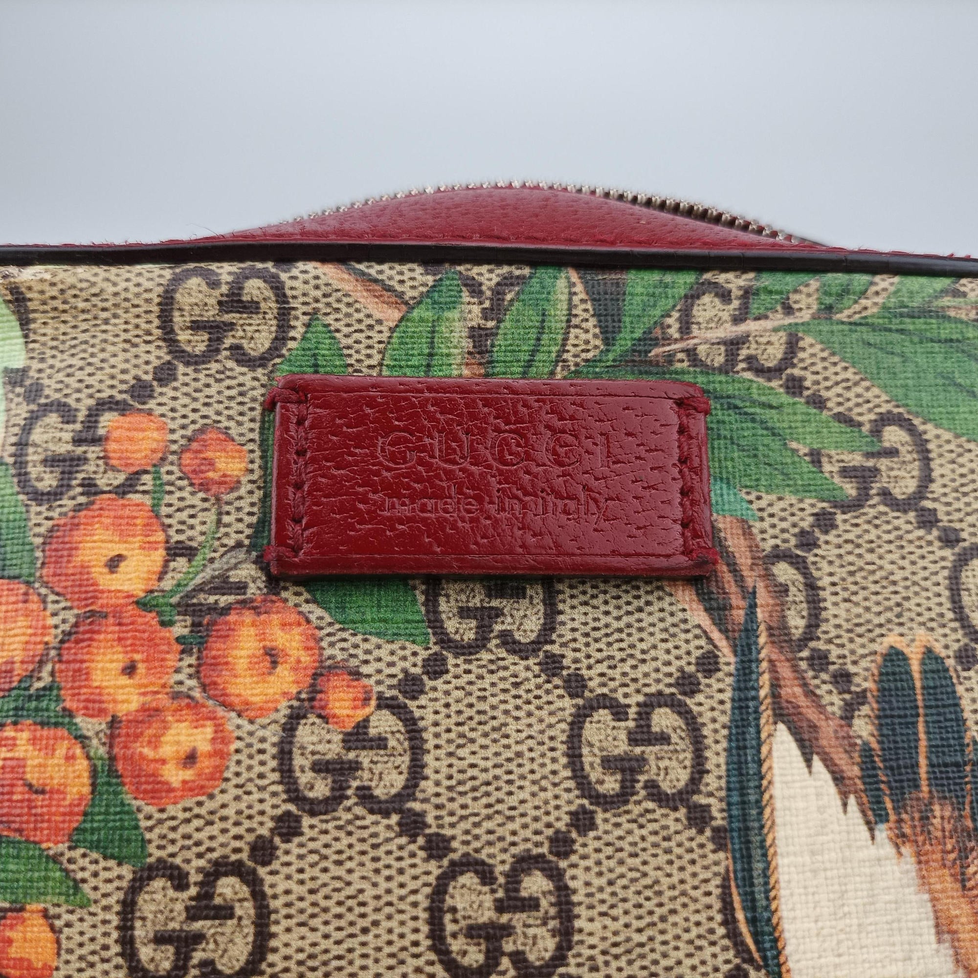 GG Supreme Tian Camera Brown PVC coated canvas×Leather 450947 E021545420GGスプリーム グッチティアン カメラ ブラウン PVCコーティングキャンバス×レザー 450947 E021545420