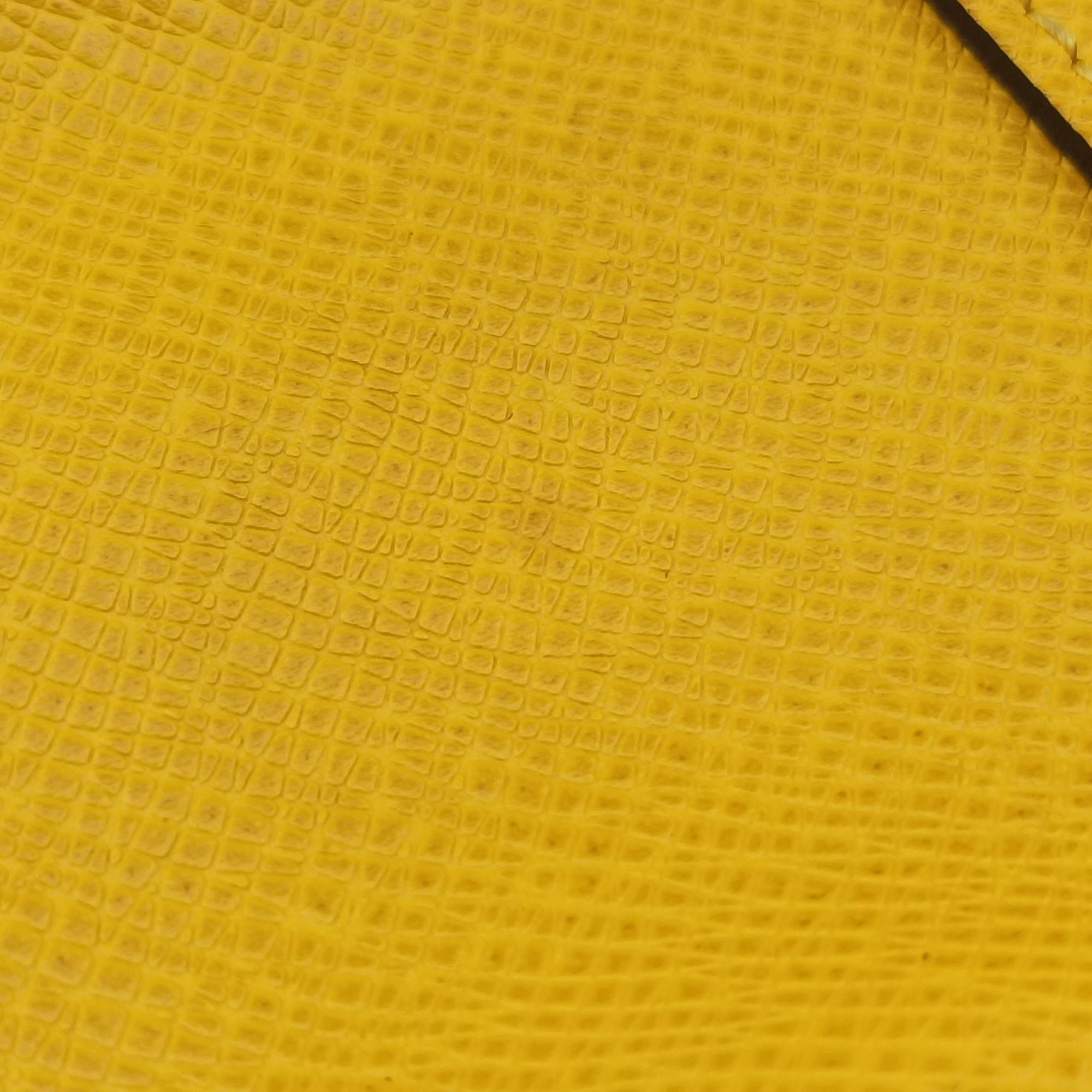 Porte Documents Voyage Jaune Taiga M30636 FL0166PDV ポルトドキュマン ヴォワヤージュ ジョーヌ タイガ M30636 FL0166