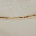 Diorama White Leather 13-BO-0117ディオラマ ホワイト レザー 13-BO-0117
